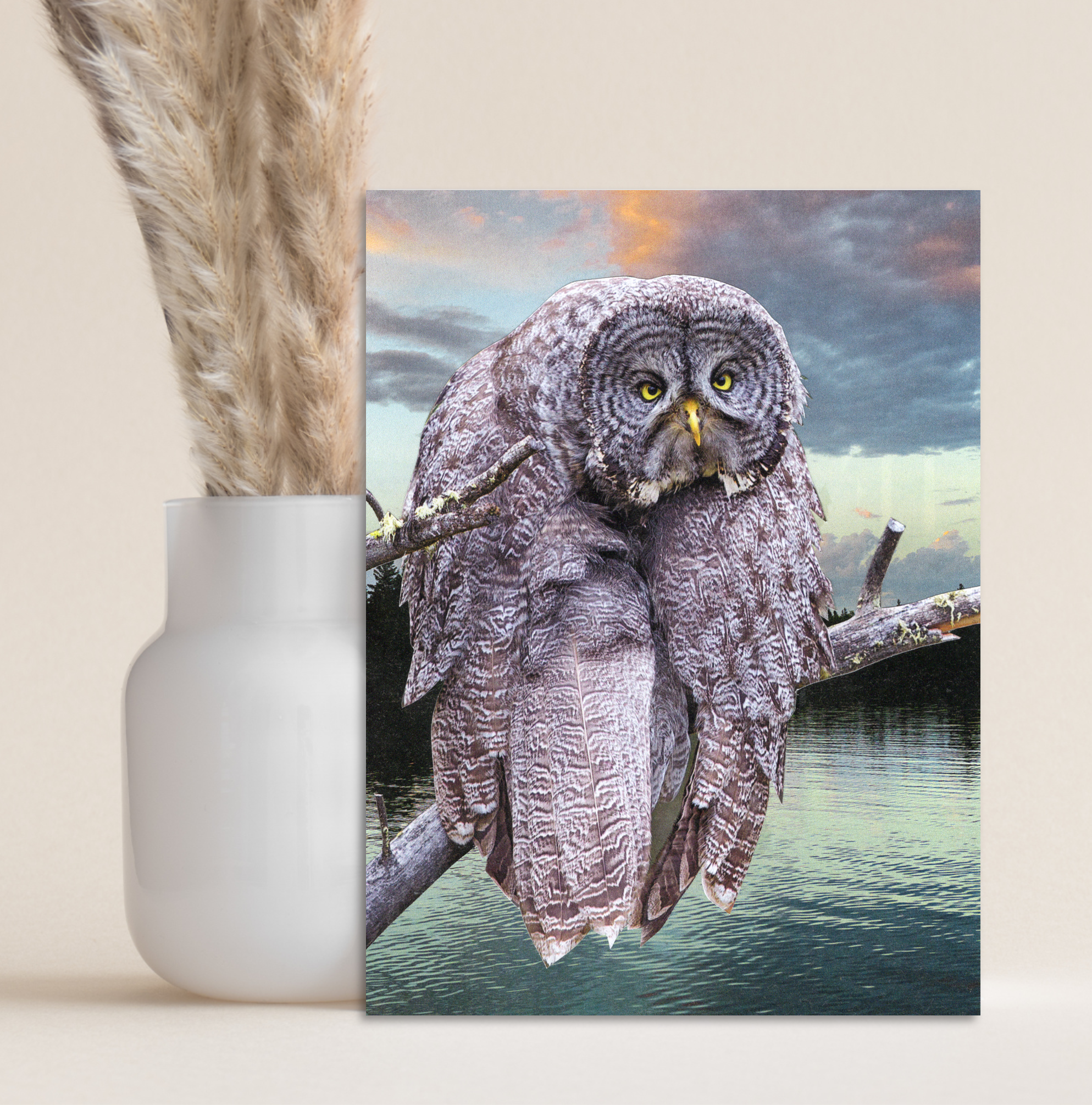 Sample Display3b.png