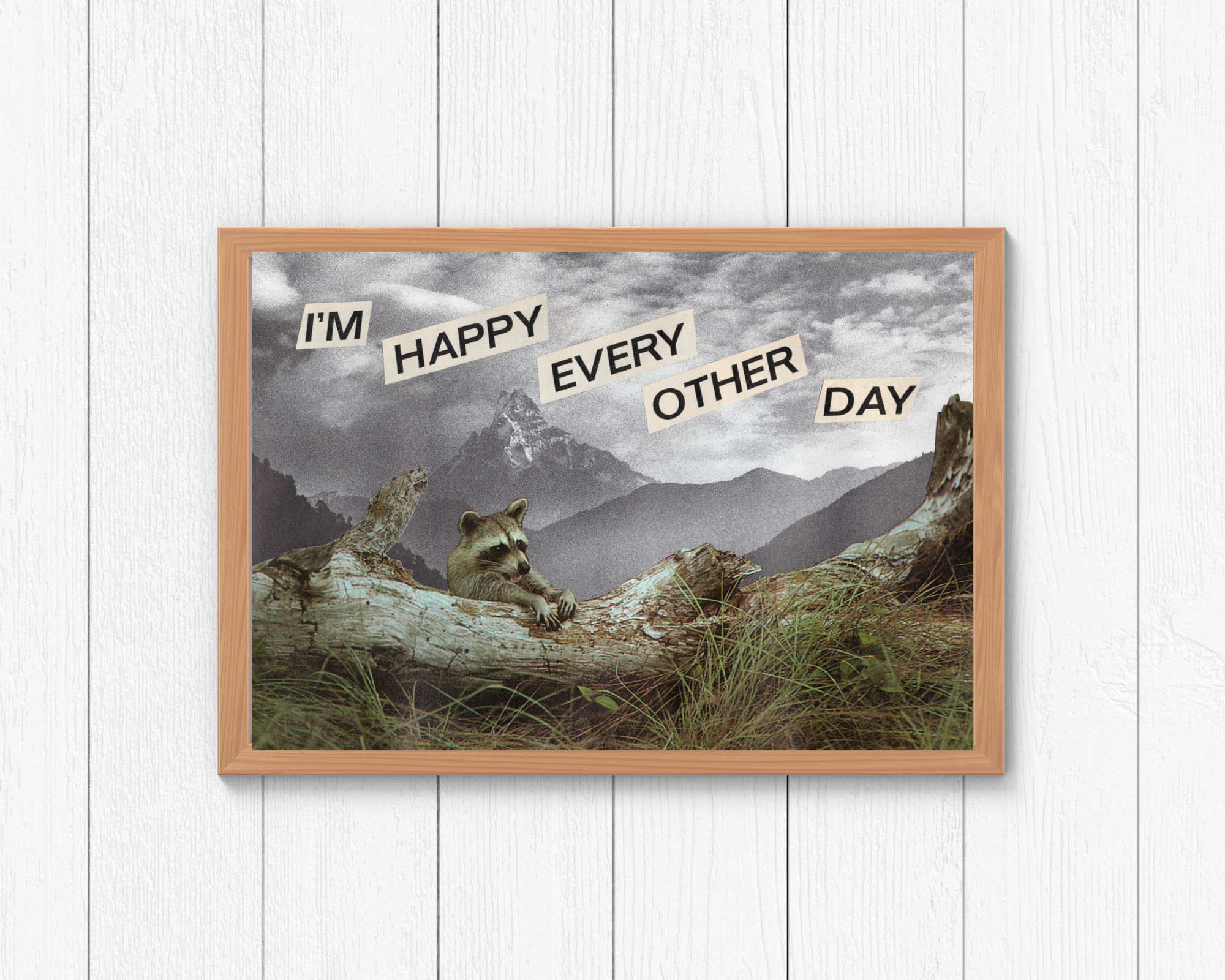 Happy Every Other Day Raccoon