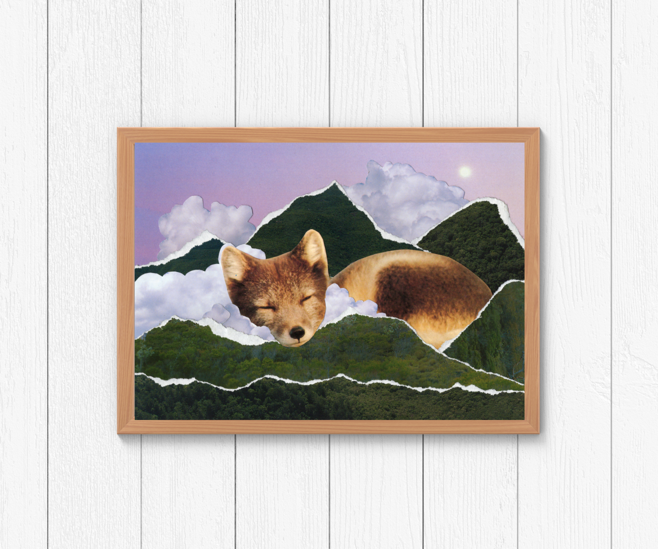 Vole Catcher Sample Display 3.png