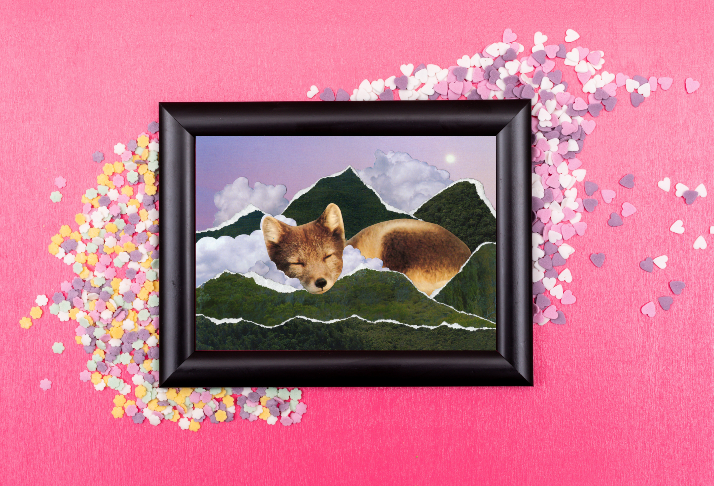 Vole Catcher Sample Display 1.png