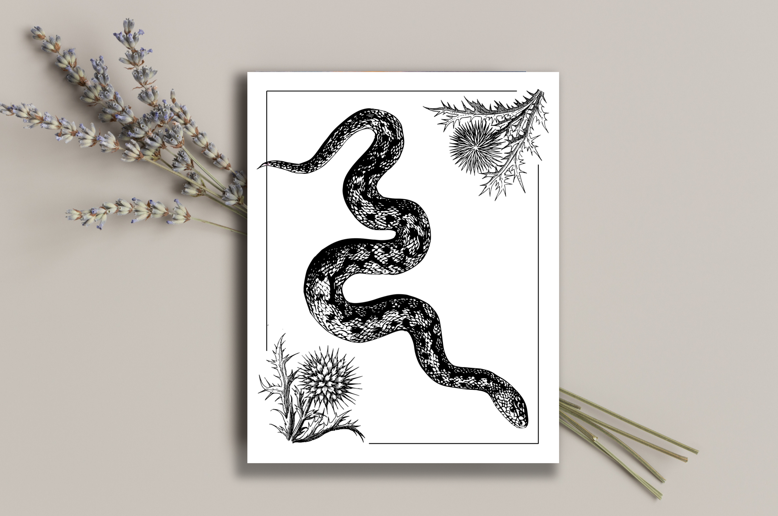 Snake & Blossoms 1