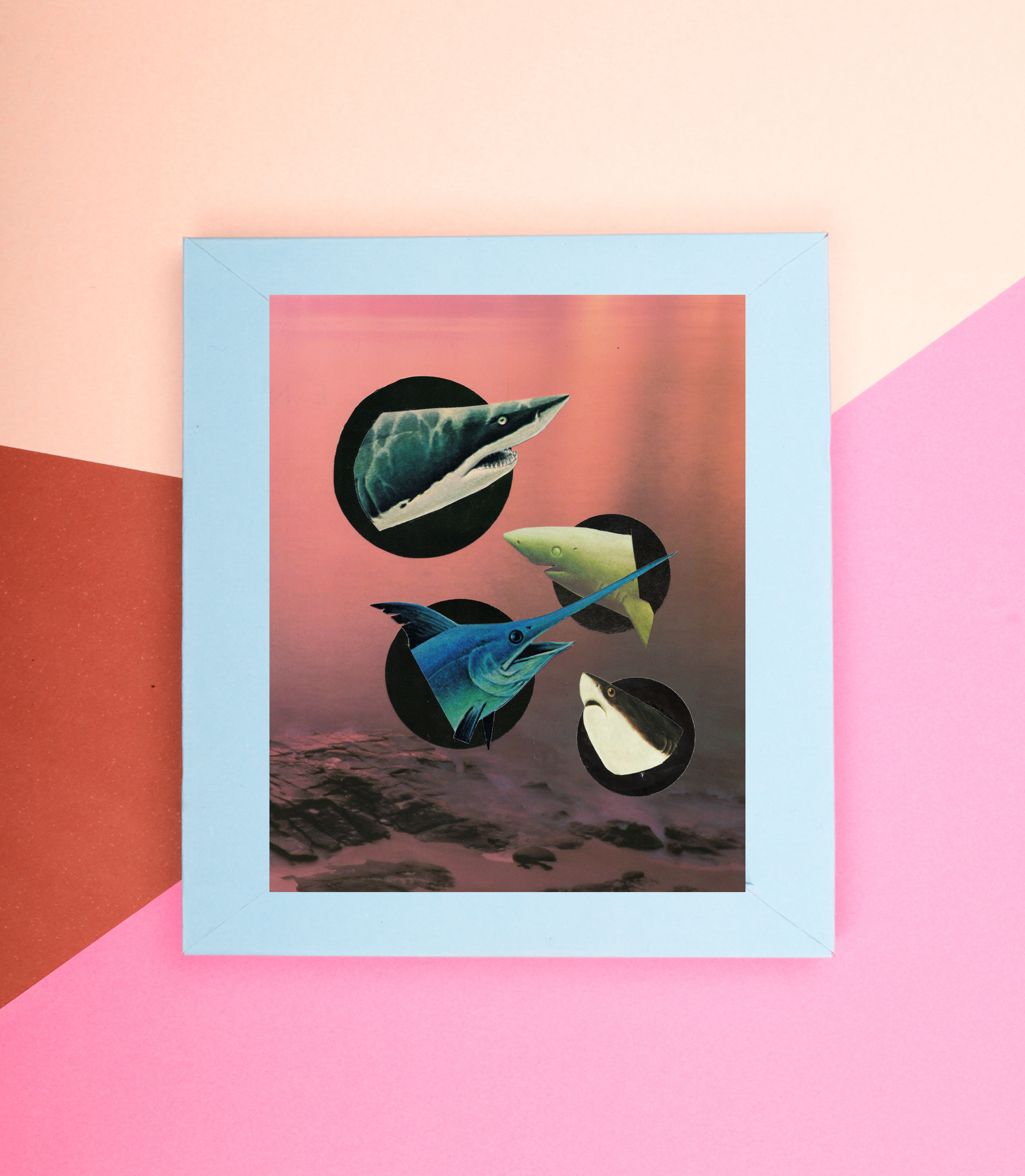 Sample Display 2.png
