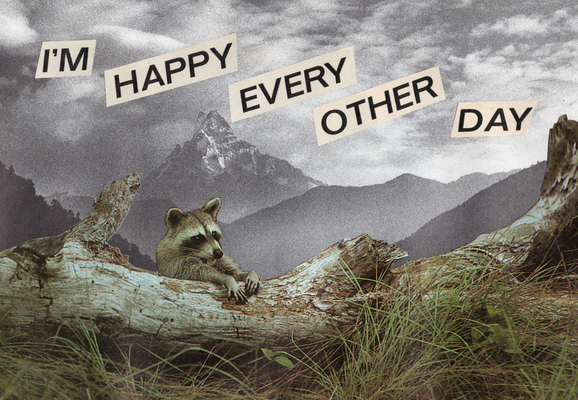 A mountain landscape with cloudy sky, featuring a mountain in the distance and a couple of mountain lions in the foreground resting on a large fallen tree trunk surrounded by grass.
