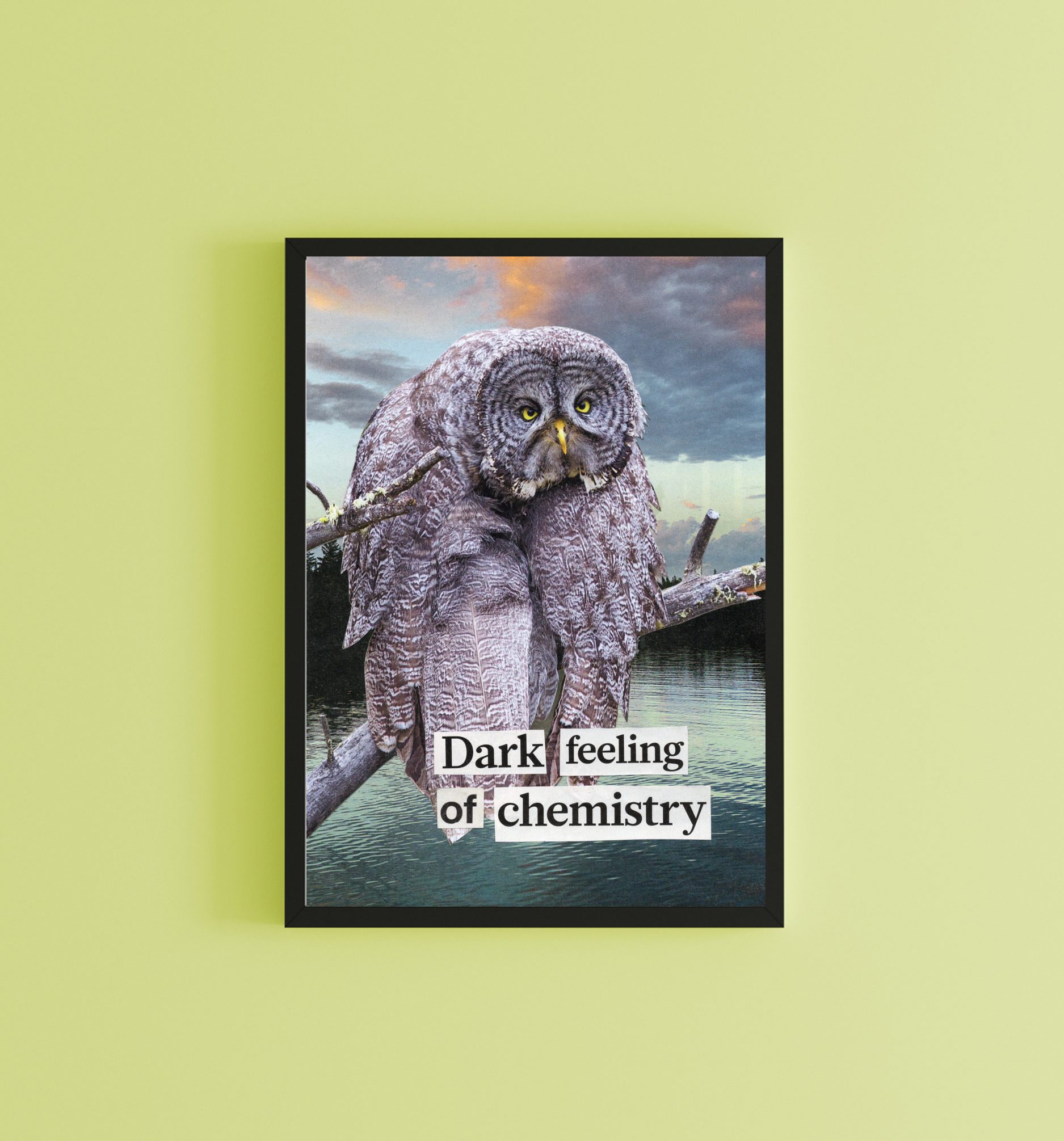 Sample Display 1.png