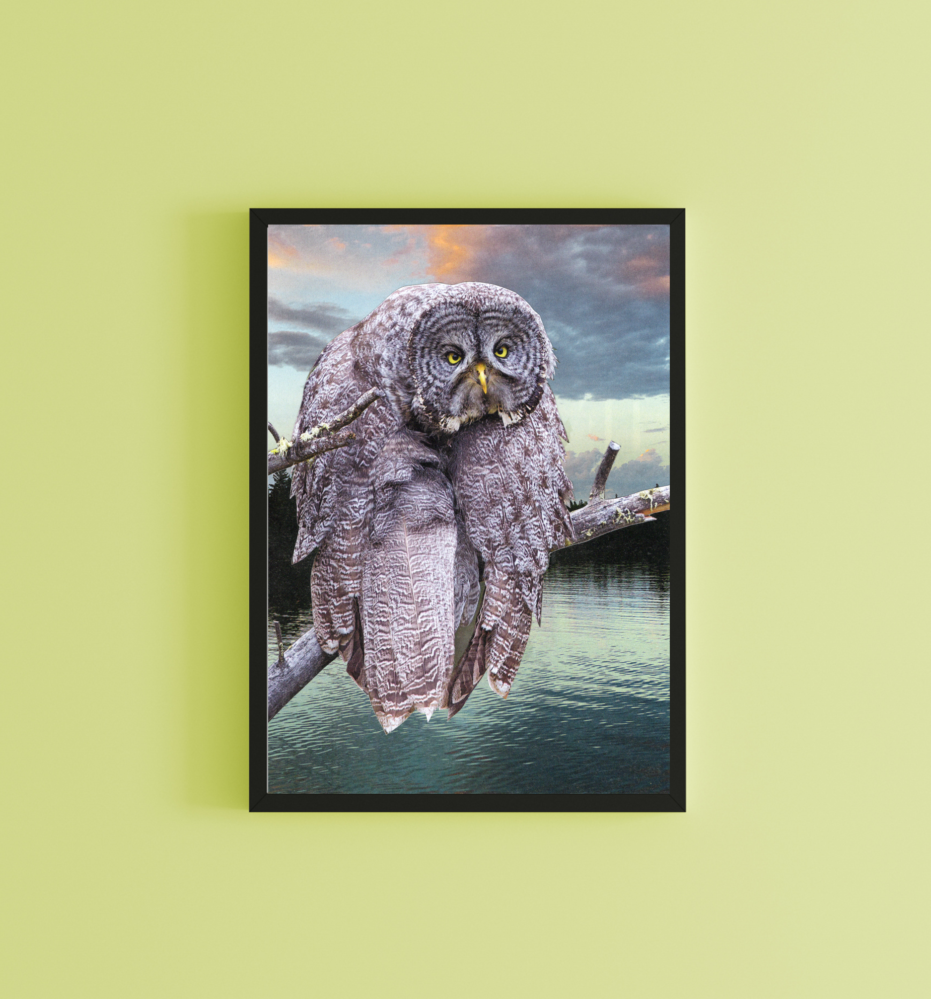 Sample Display 1b.png