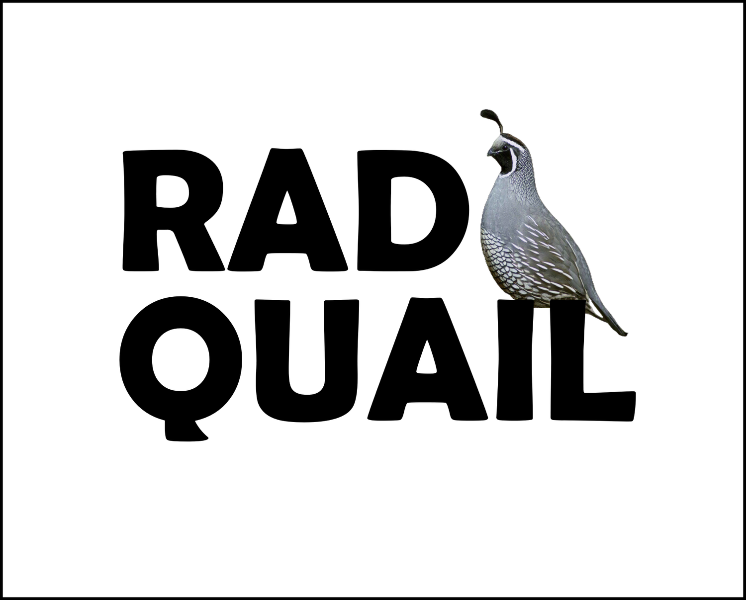 Rad Quail Studio