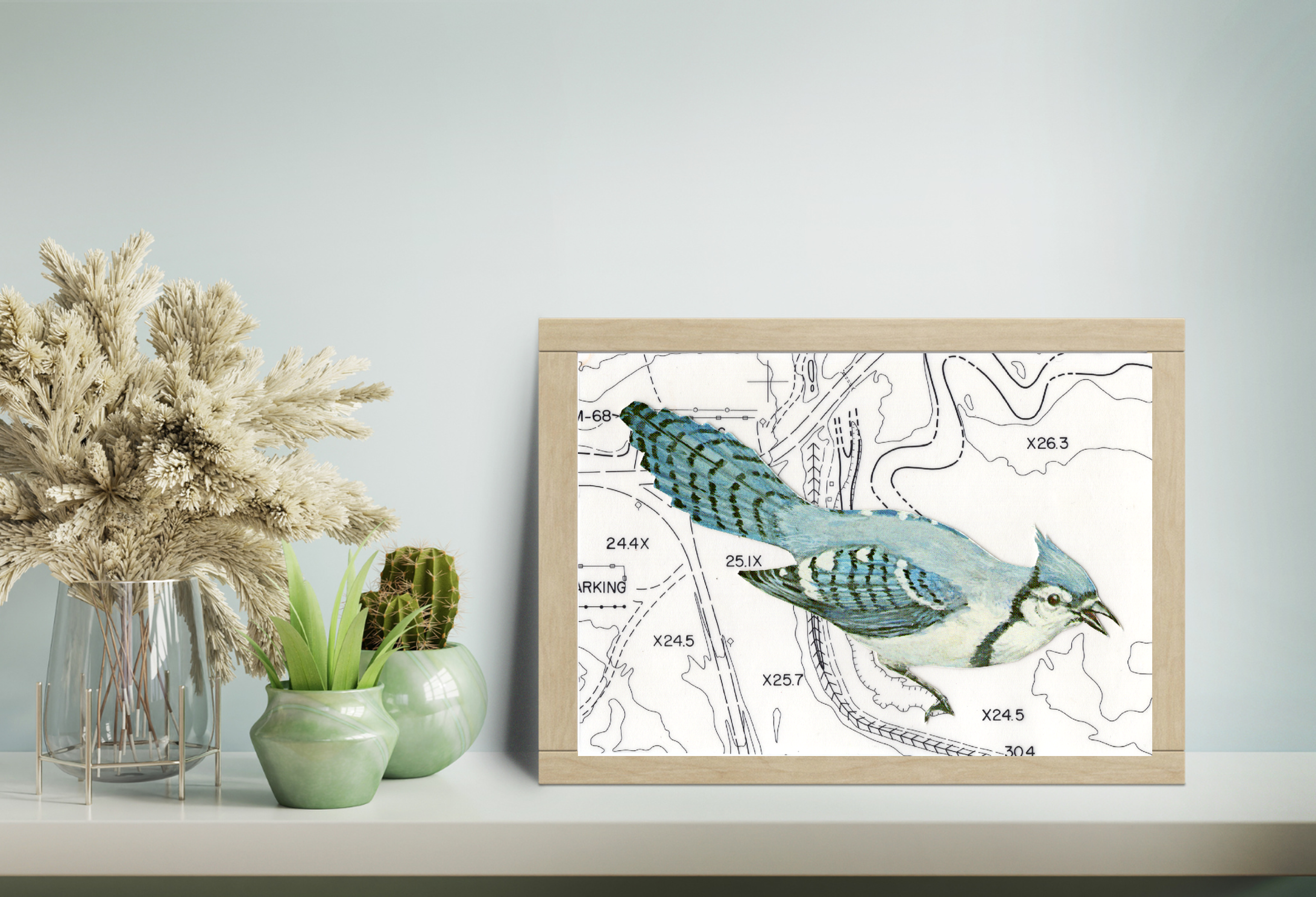 Sample Blue Jay Display 2.png