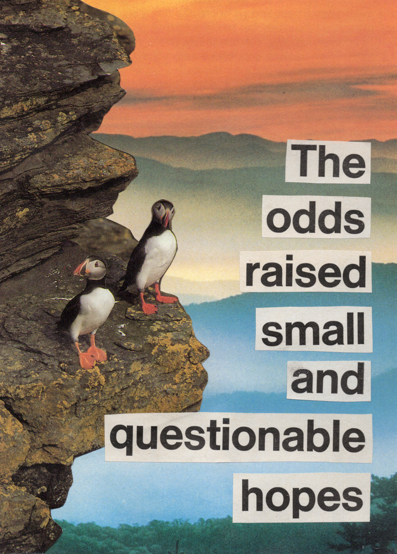 Photograph of two puffins standing on a rocky ledge with a mountain landscape and sunset sky in the background. Overlaid text reads: "The odds raised small and questionable hopes."