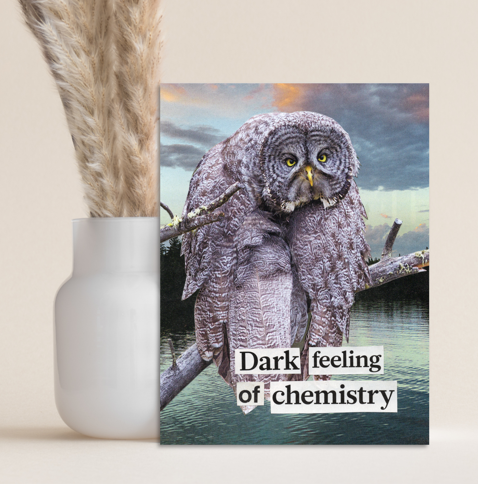 Sample Display 3.png
