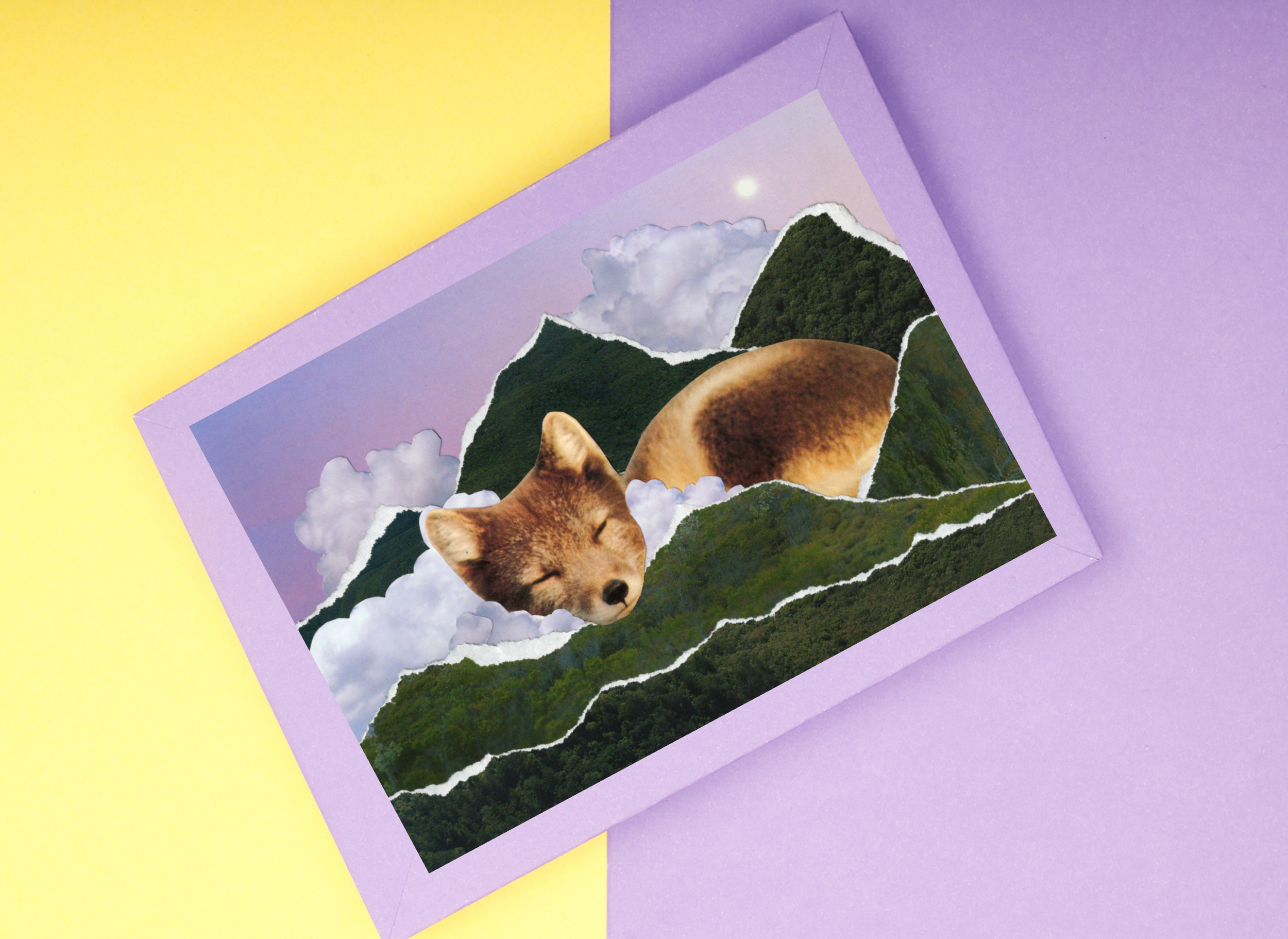 Vole Catcher Sample Display 2.png