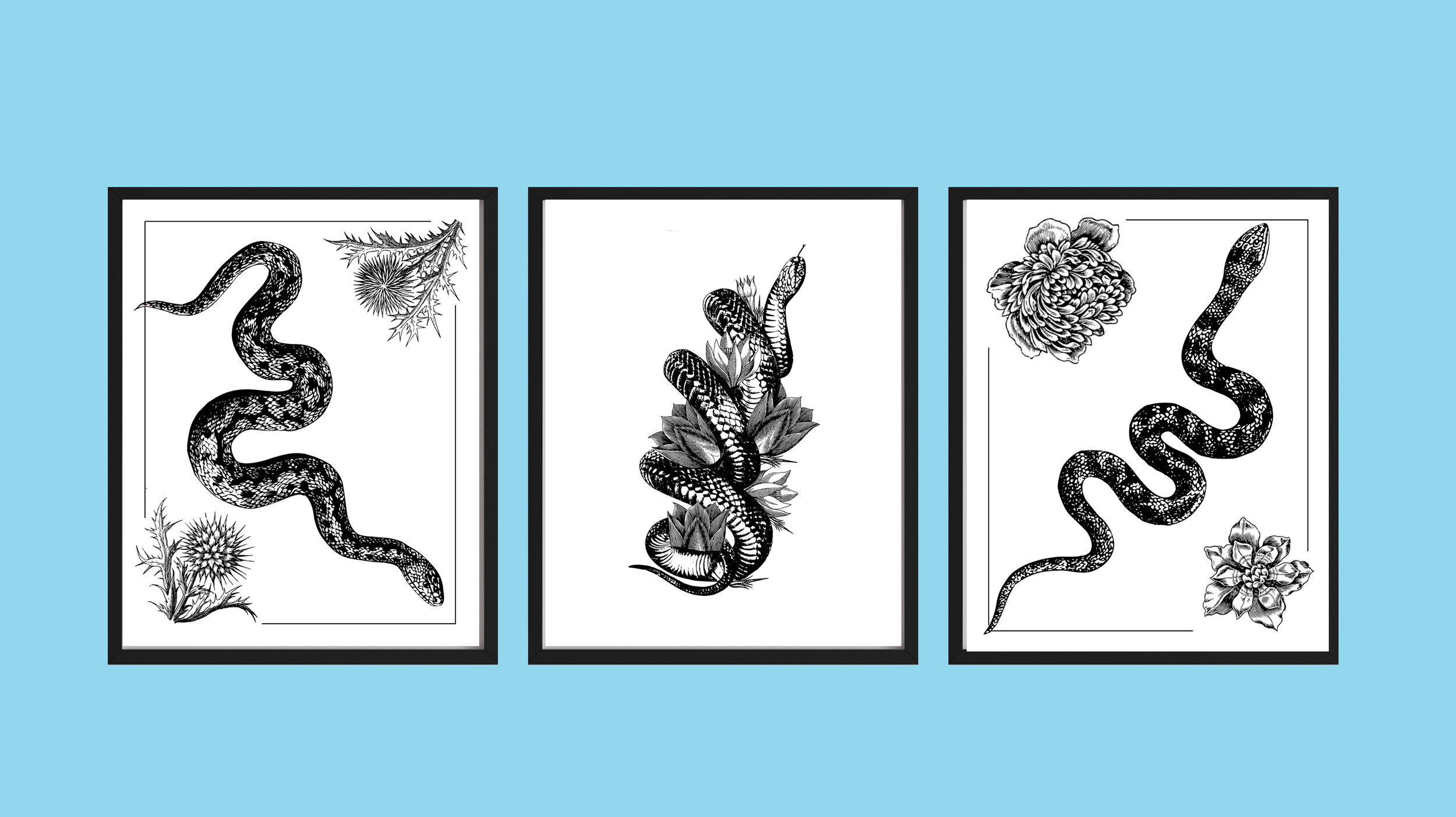 Snake & Blossoms Group Sample Display.png