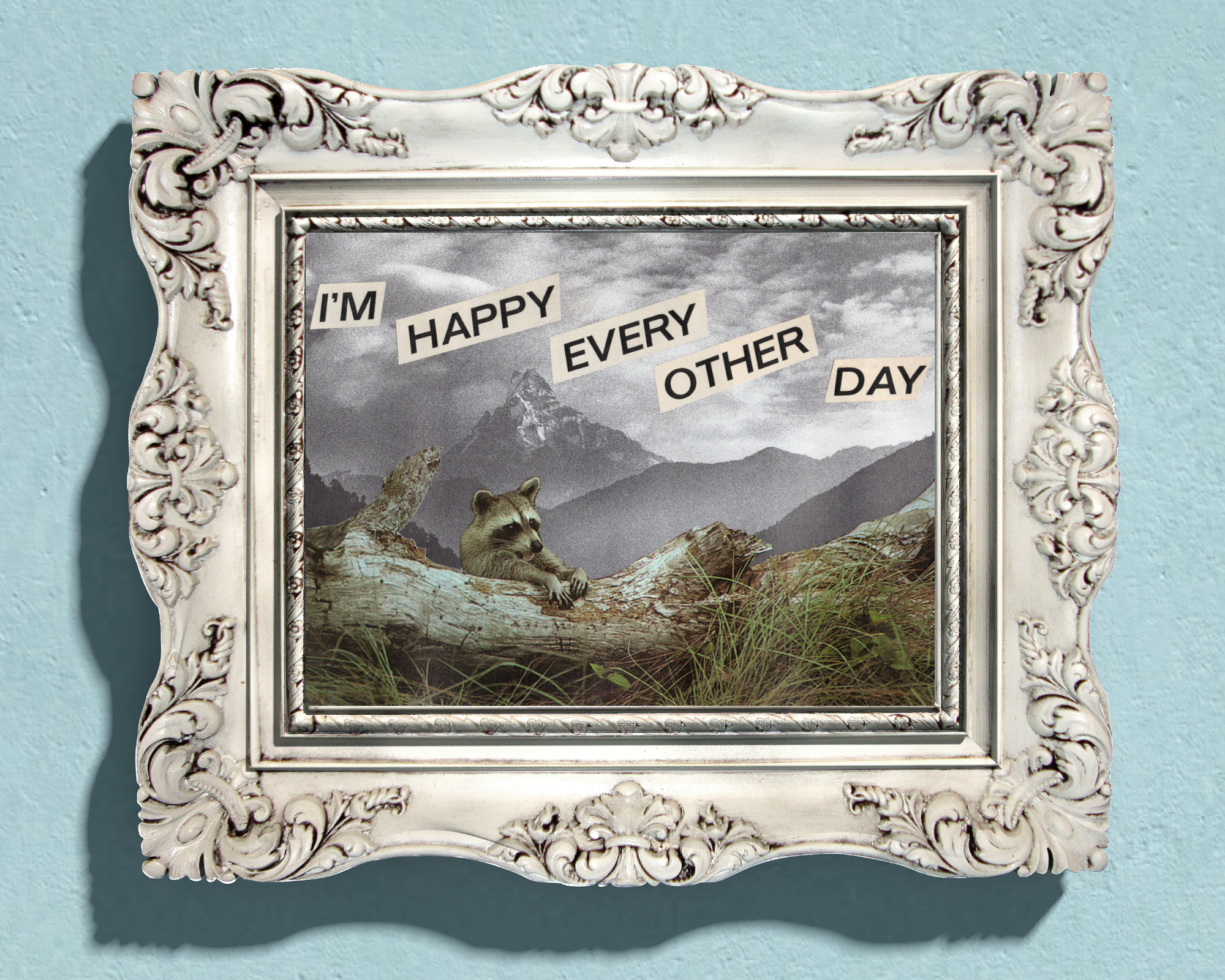 Sample Display 4.png