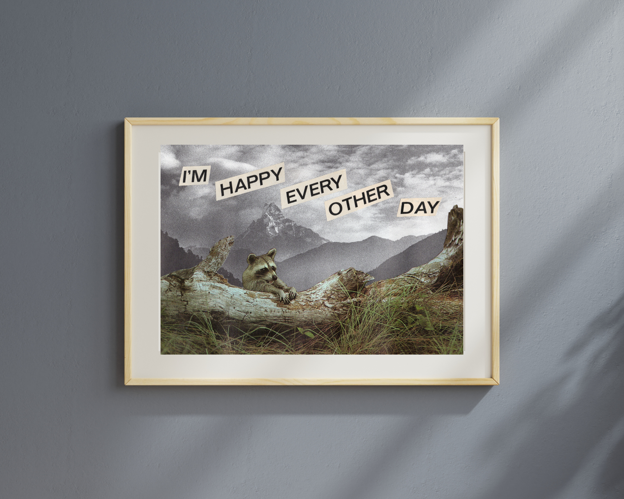 Sample Display 1.png