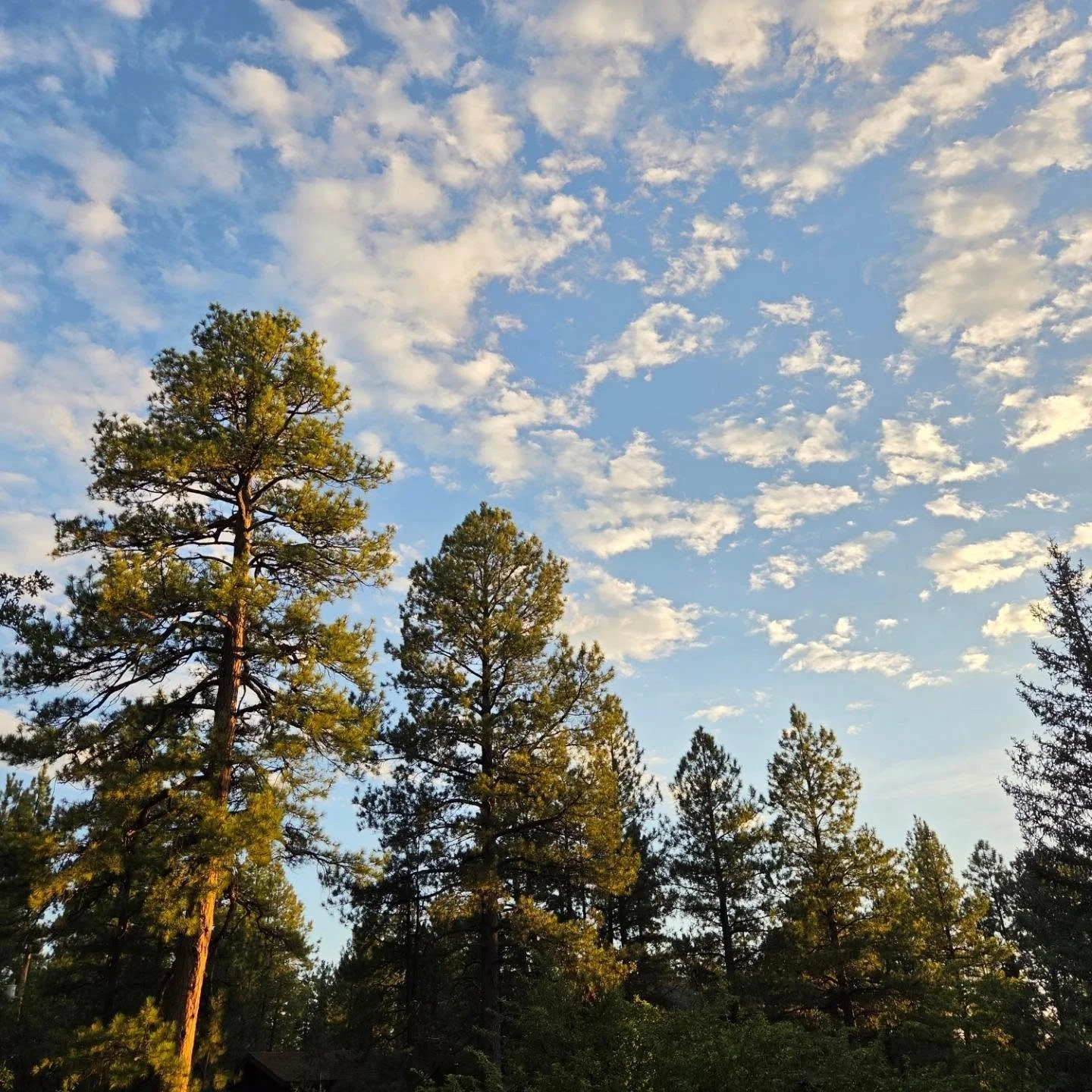 When the work came offline and moved at a slower, organic pace, everything became more aligned. 

My intention has always been to cultivate networks of community care. I am so grateful that I have been doing just that this summer. 

Just wait until t