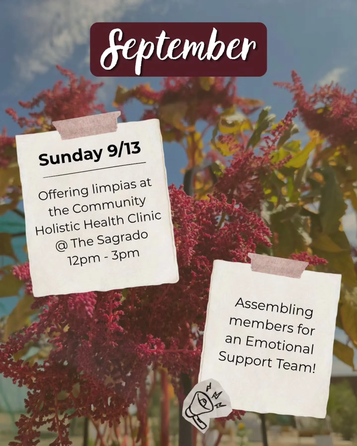 🌿 September things 🌿

🖤 I will be offering limpias this month on Sunday 9/13 at The Sagrado (after the Curanderismo Class, which I highly recommend)

🖤 I am assembling an Emotional Support Team for a conference in October (DM for more info)
.
.
.