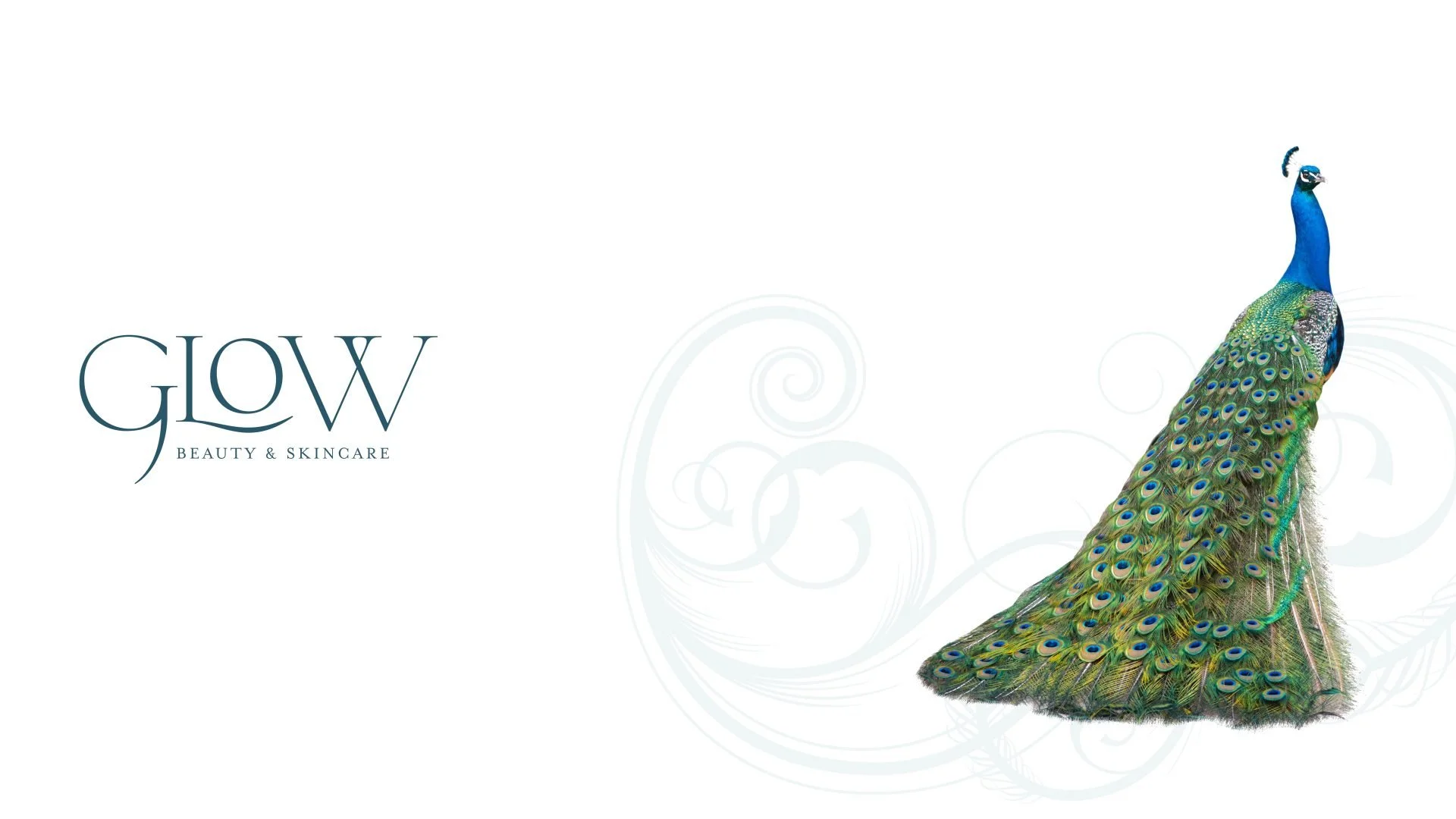The-glow-logo-alongside-their-feature-animal-peacock-scaled.jpg