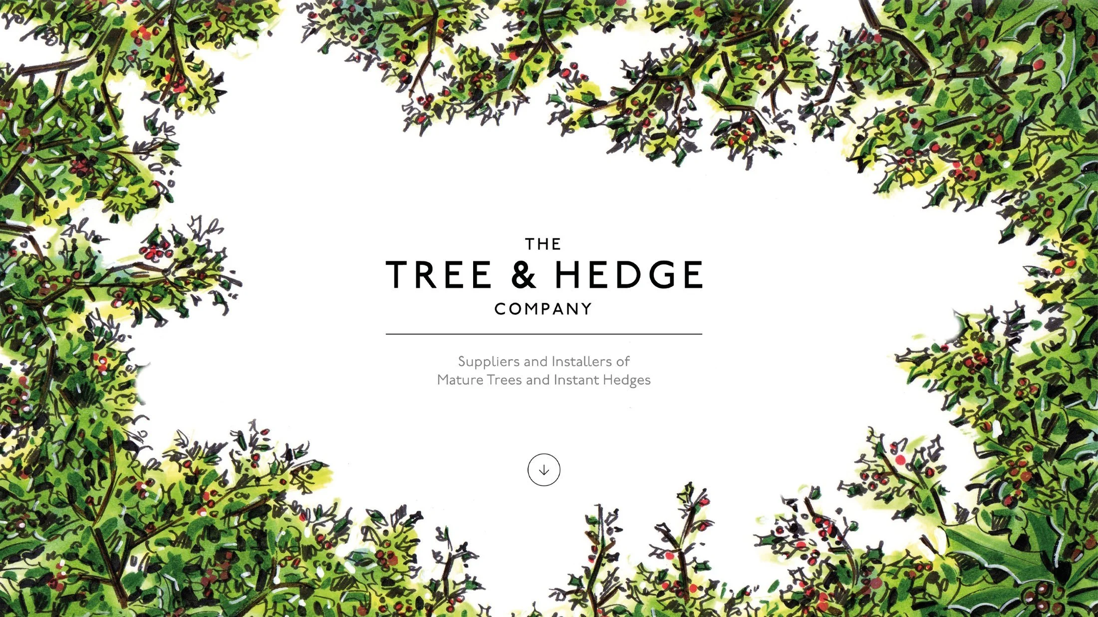 Tree-and-hedge-master7.jpg