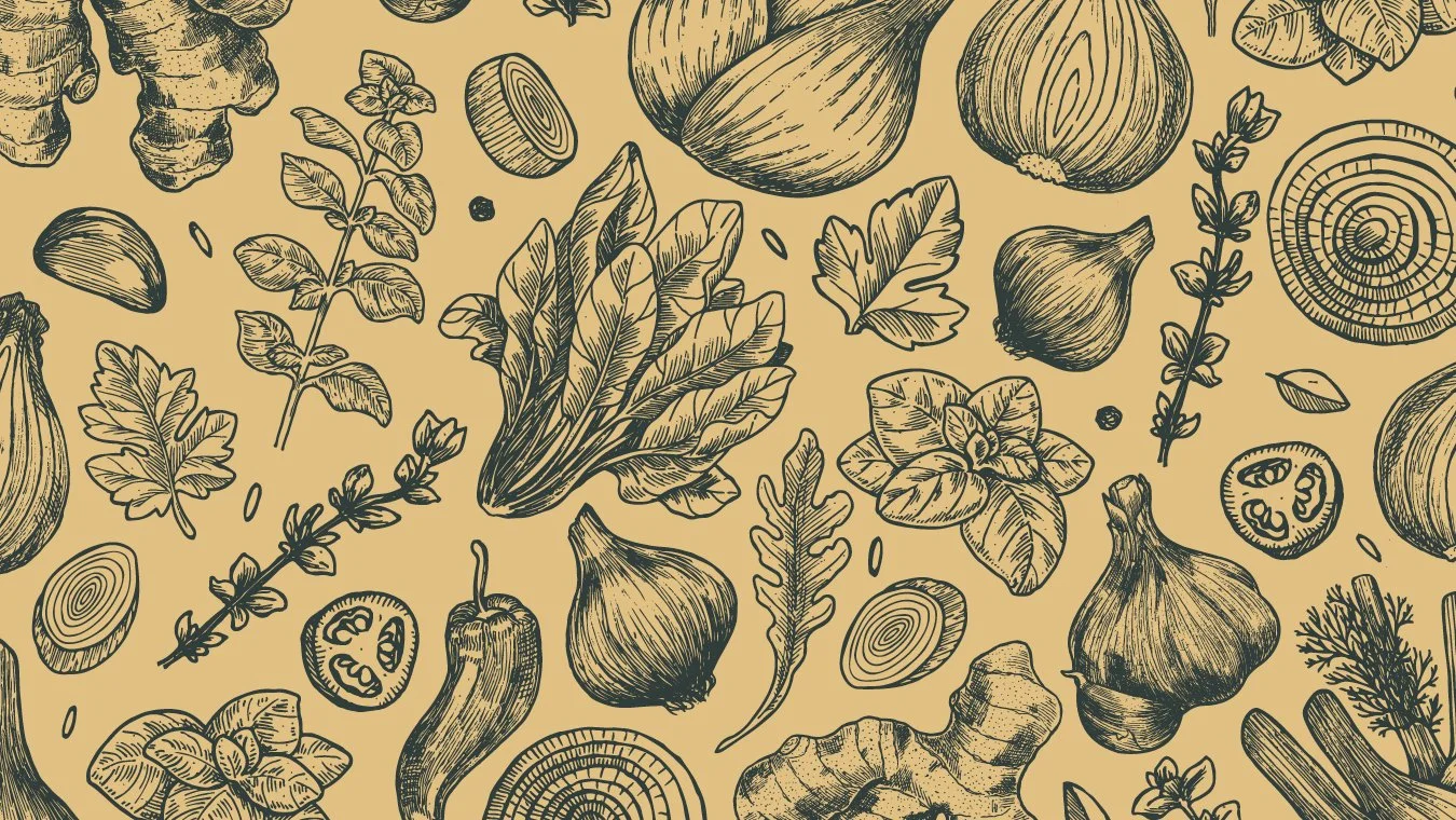 Food illustrations for the Home Roots branding