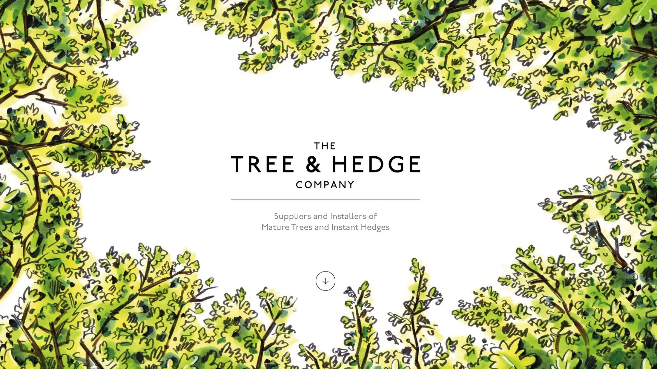 Tree-and-hedge-master4.jpg