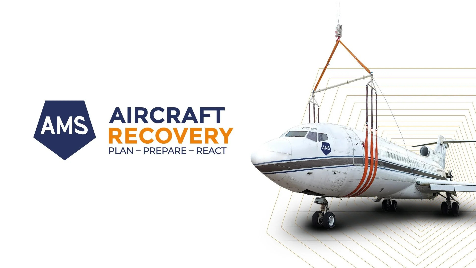 AMS Aircraft Recovery logo and visual
