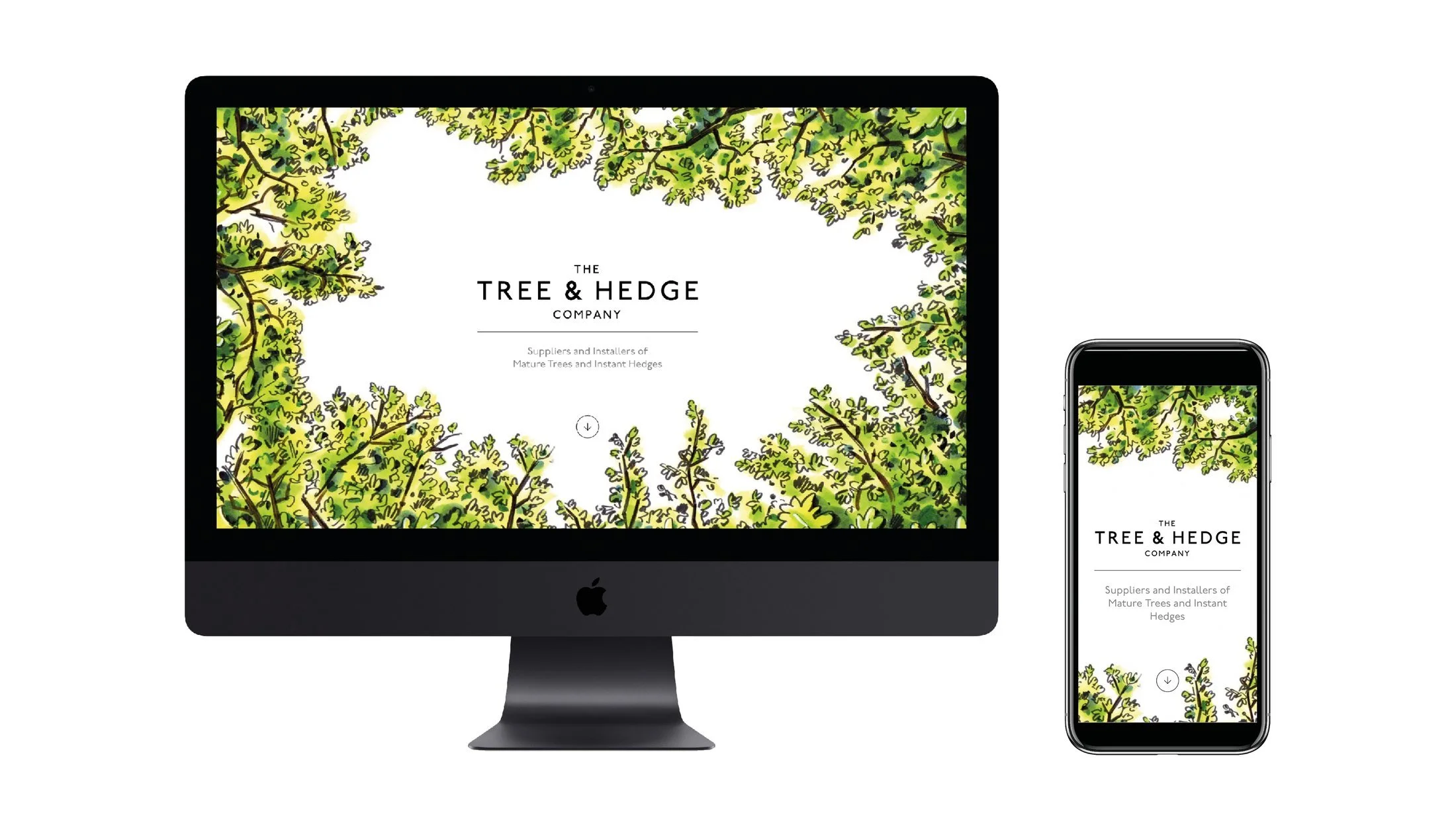 Tree-and-hedge-master3.jpg