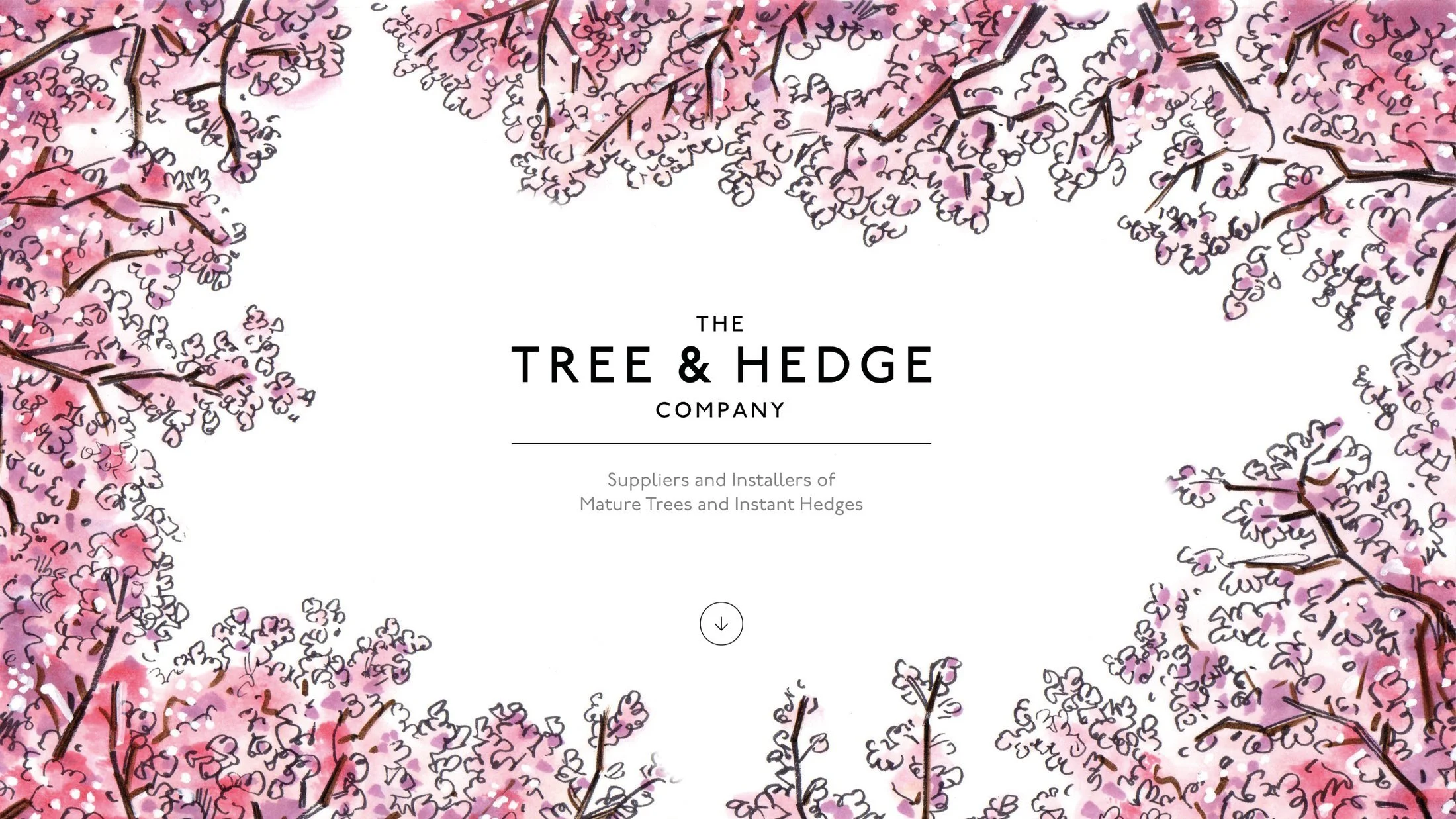 Tree-and-hedge-master6.jpg