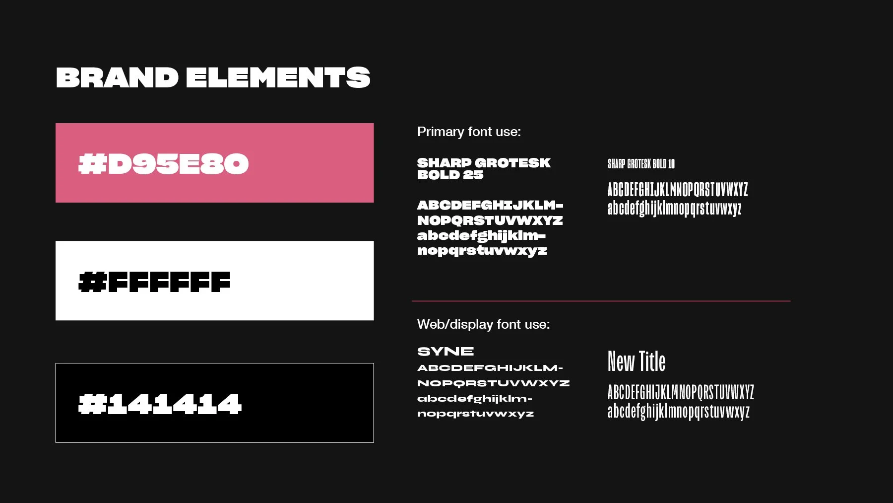 Brand-style-guide-created-for-the-Snapshot-people-rebrand-by-Toy-Creative.jpg