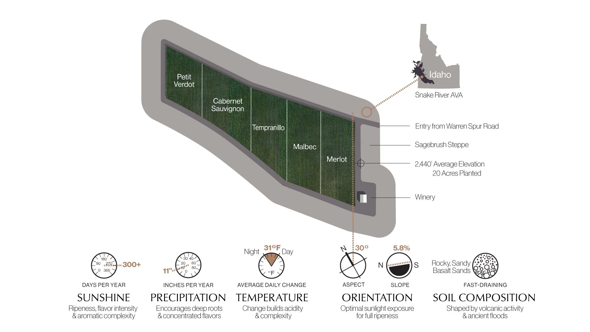Infographic of a vineyard with labeled grape varieties: Petit Verdot, Cabernet Sauvignon, Tempranillo, Malbec, Merlot, located in Idaho near Snake River AVA, showing vineyard dimensions, soil type, and climate data.