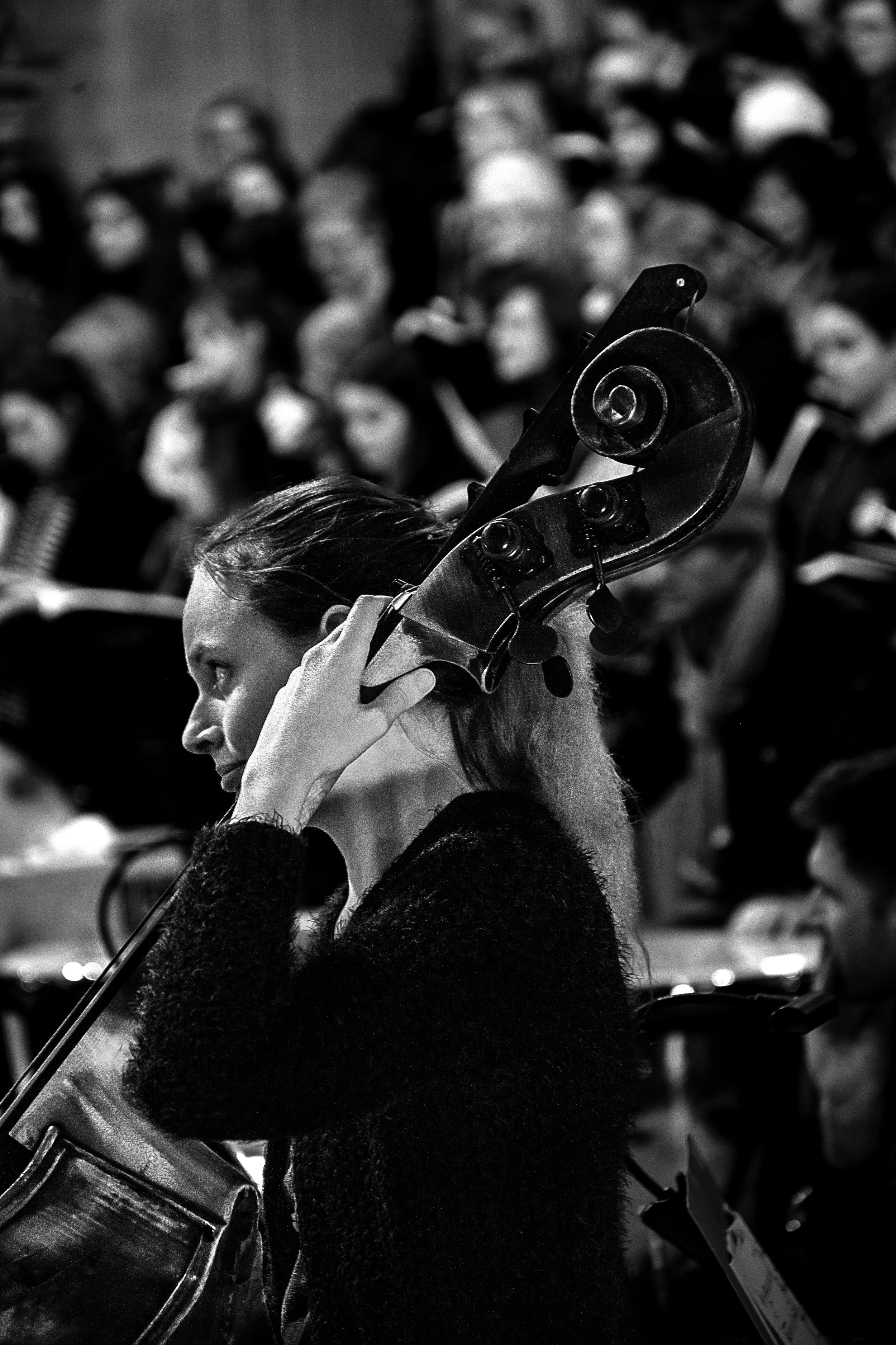 Double Bass Player Ely Cathedral