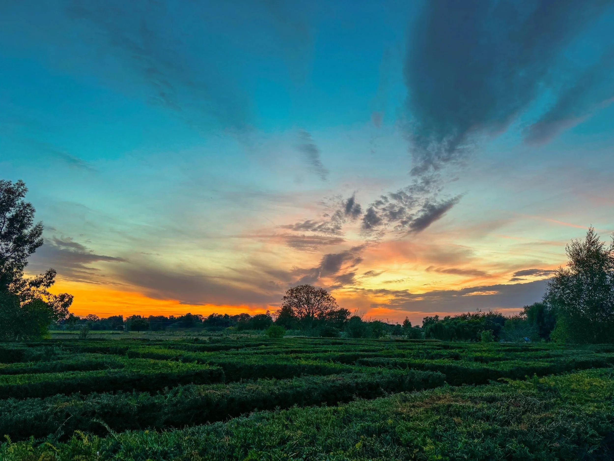 A landscape scene of a sunset with colorful clouds in the sky and dark green fields and trees in the foreground.