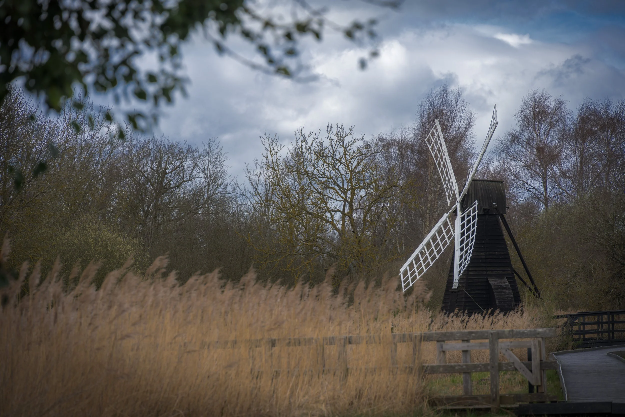 windmill wicken fen.jpg