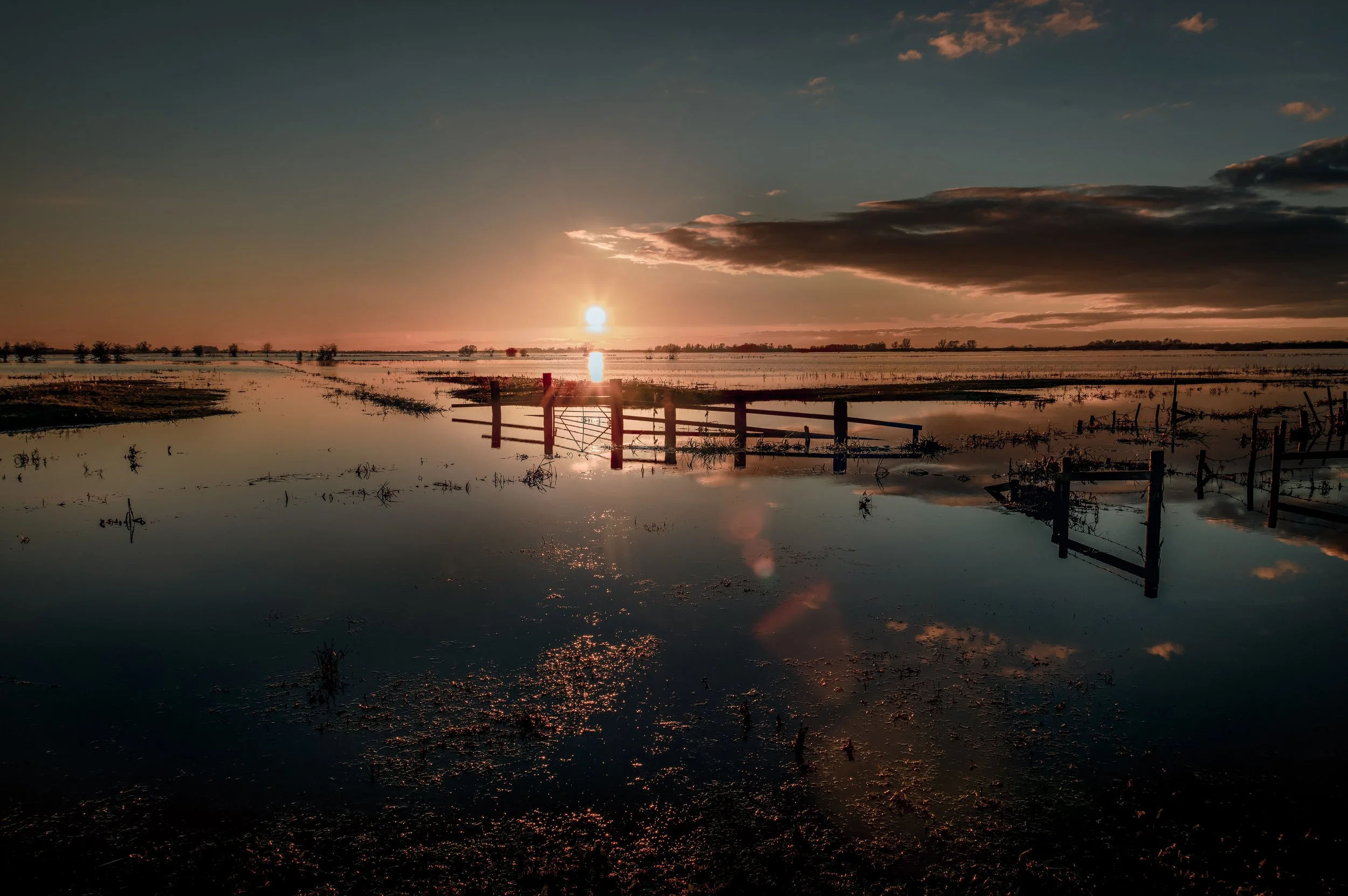 Welney 10-11-20 2026 edit.jpg