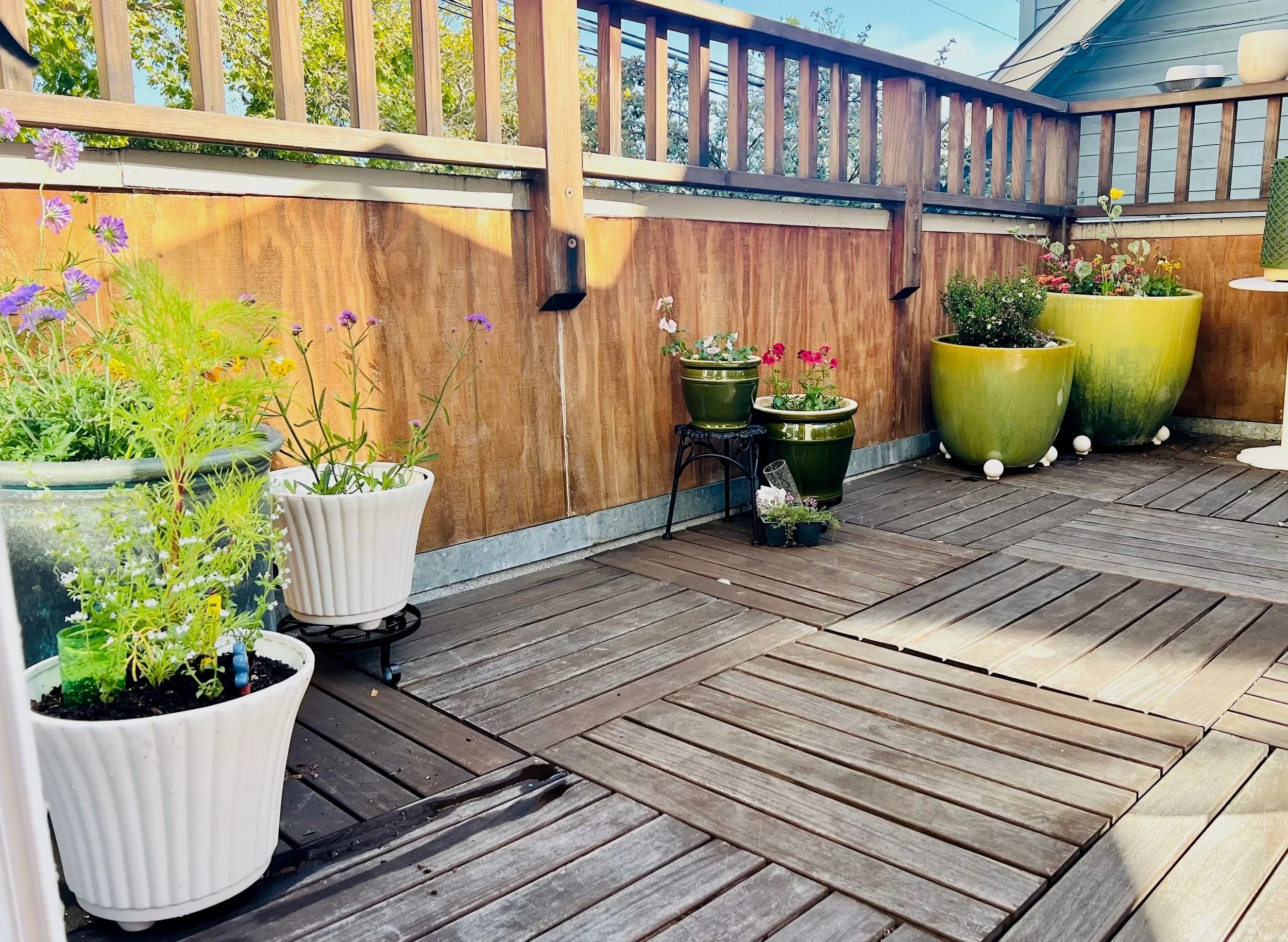 small ornamental container garden on patio
