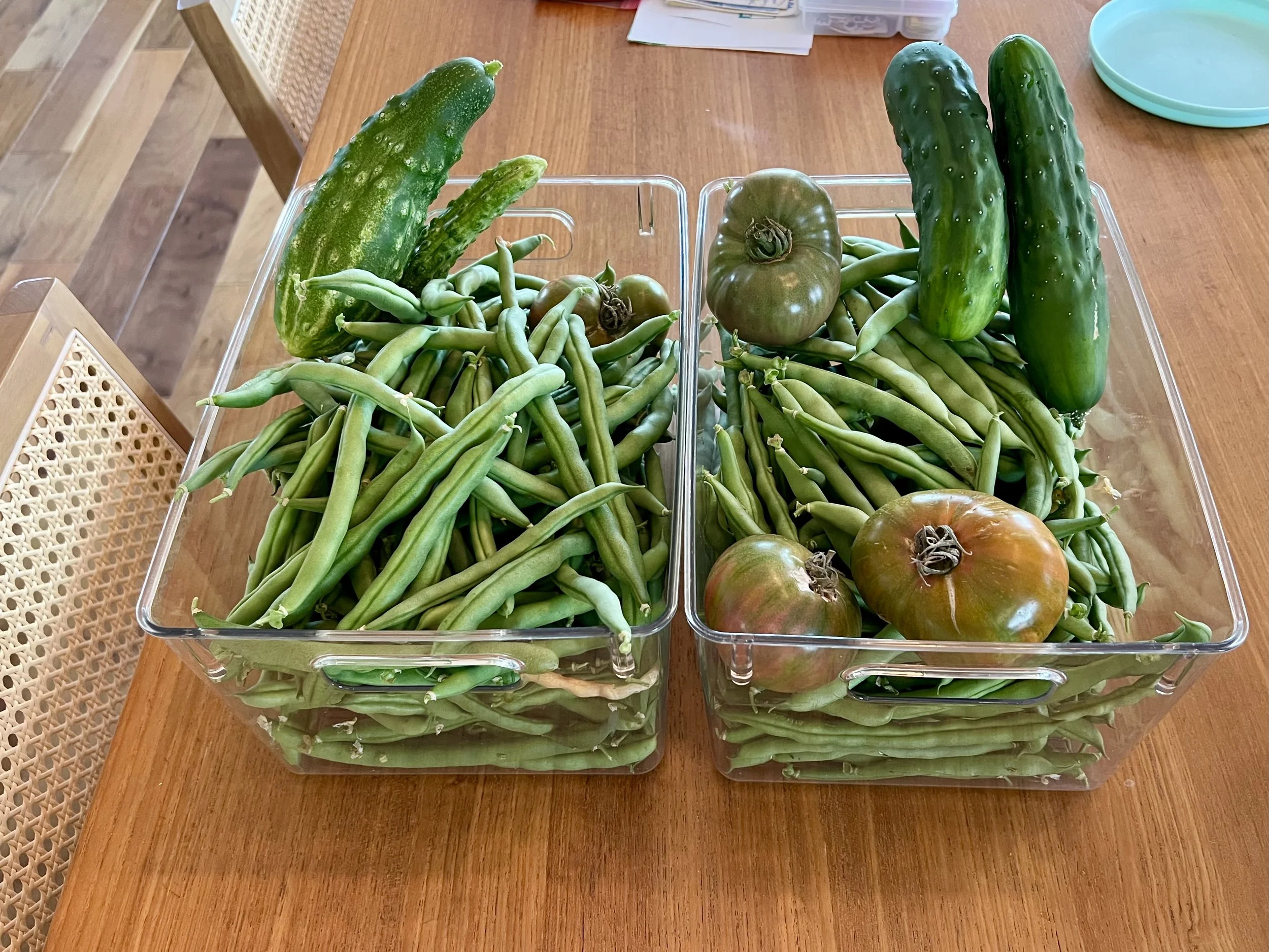 harvest of cucumber, heirloom tomatoes, and green beans