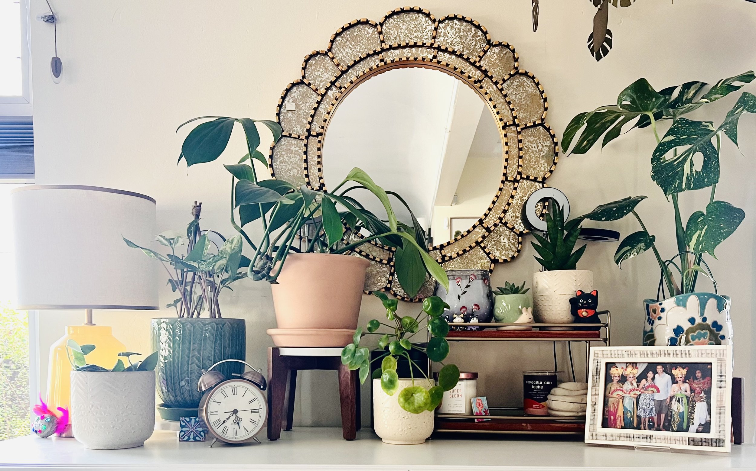 houseplant styling tabletop