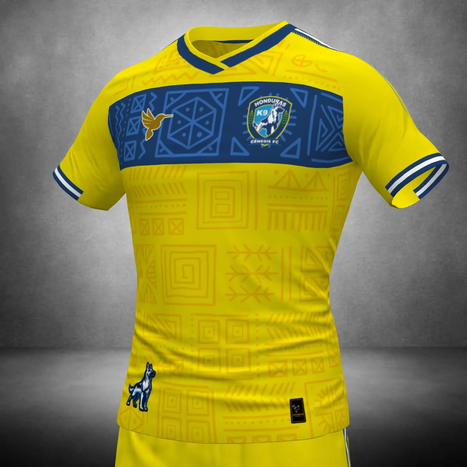 JERSEY ALTERNATIVA 2