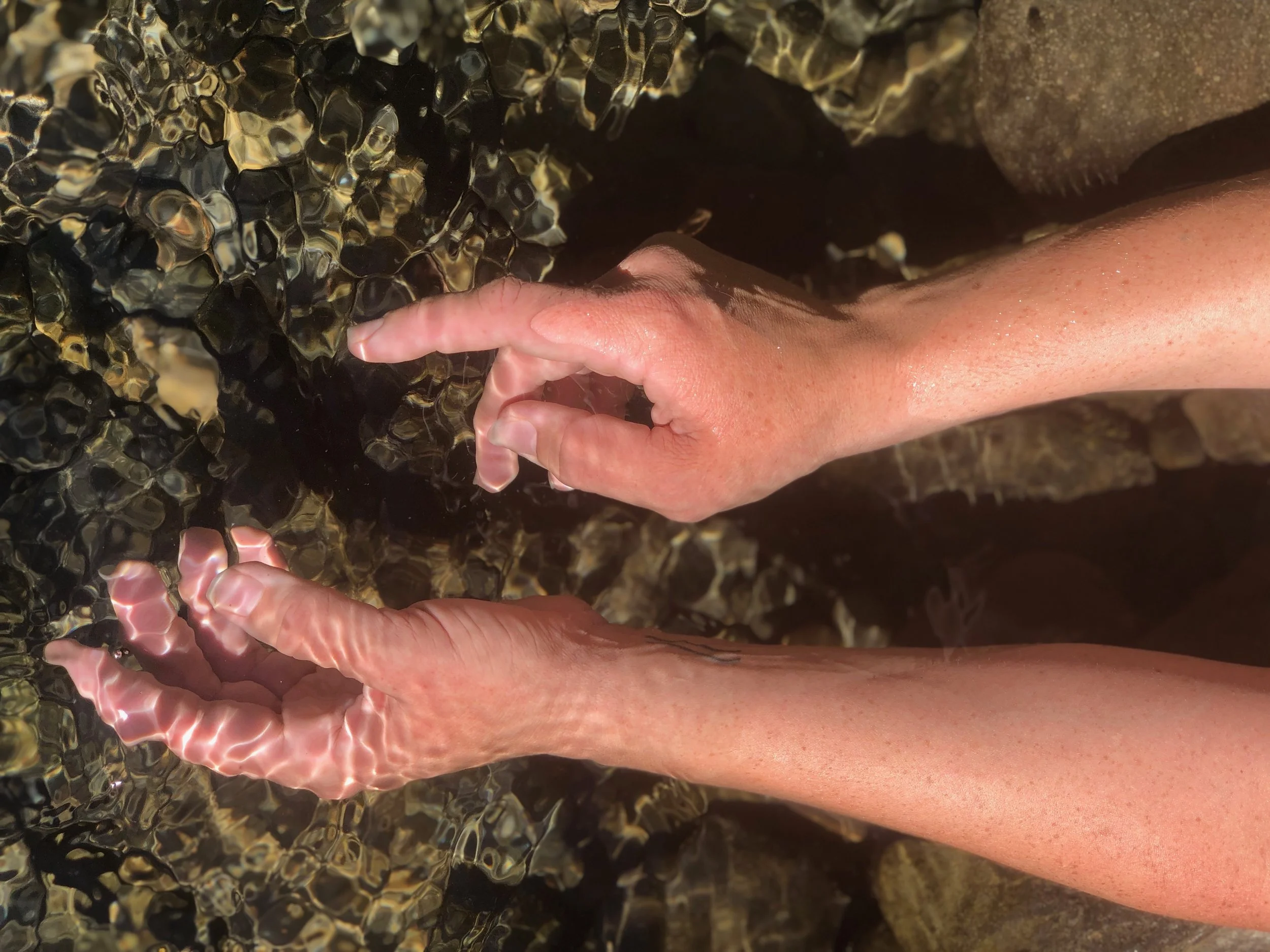 A person's hand touching a rock with large, shiny, black pebbles under clear water.
