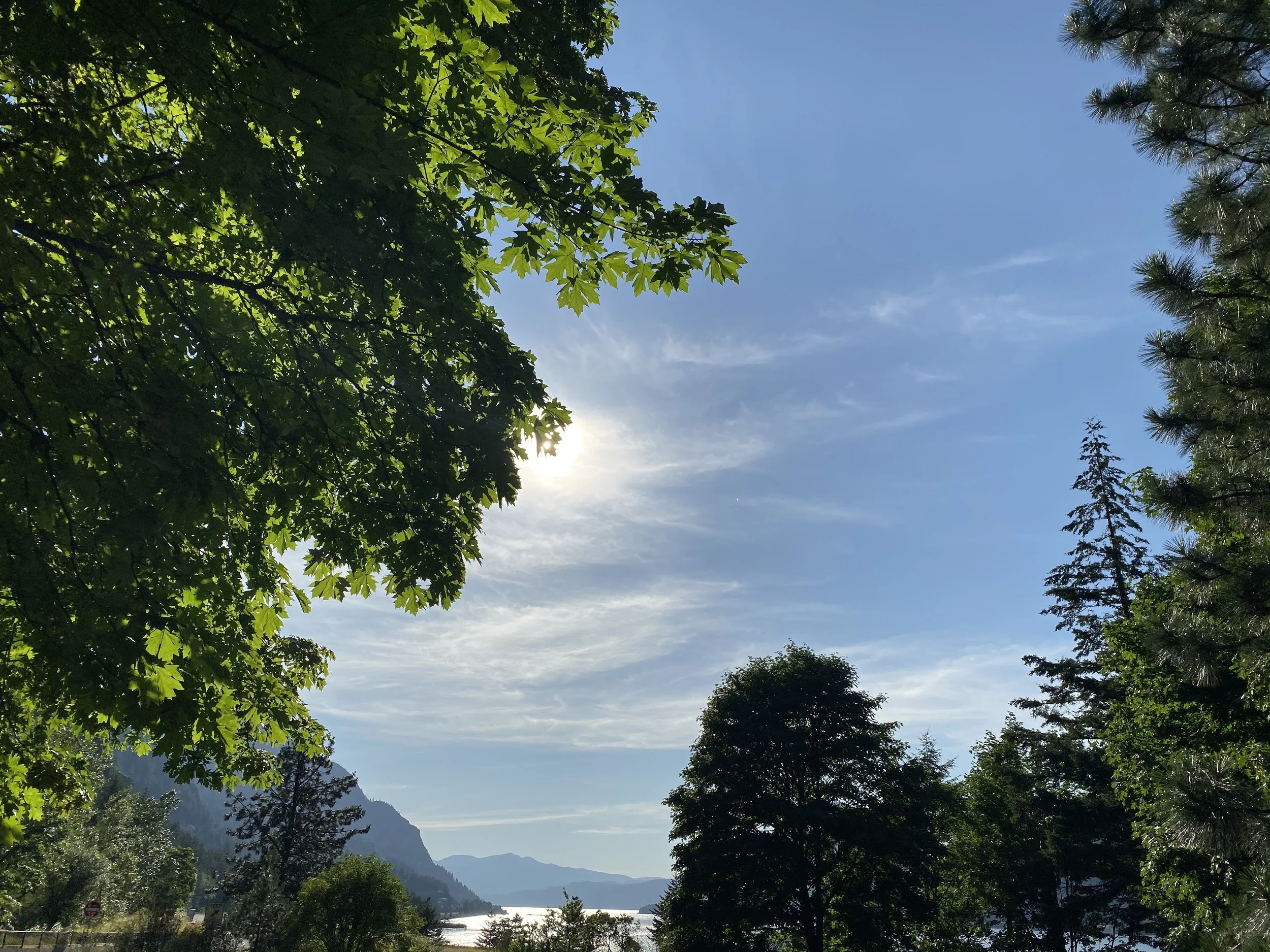 A clear blue sky with some wispy clouds, green leafy trees framing the view, mountains in the distance, and a body of water reflecting sunlight