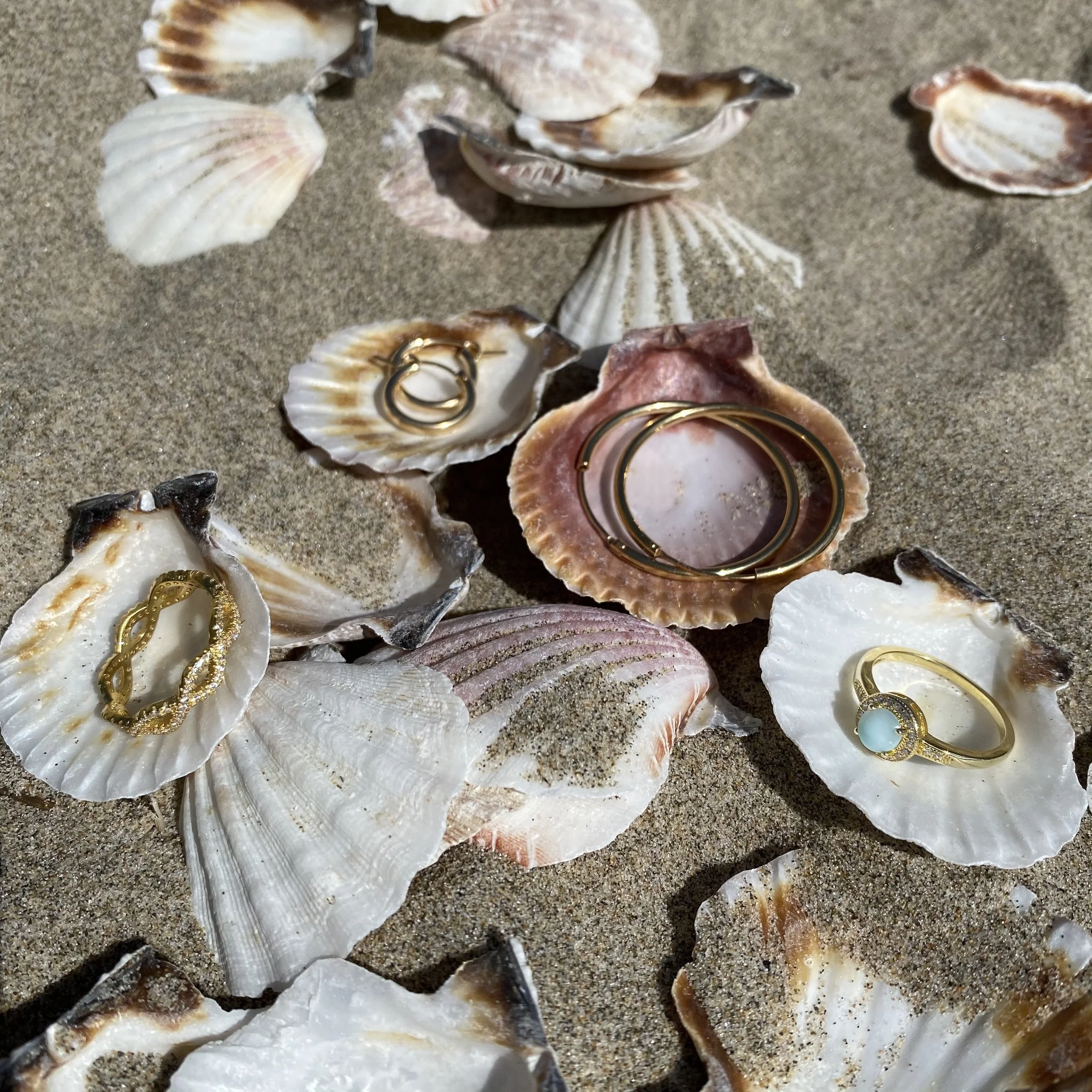 Various seashells lying on sandy beach with gold jewelry inside some shells.