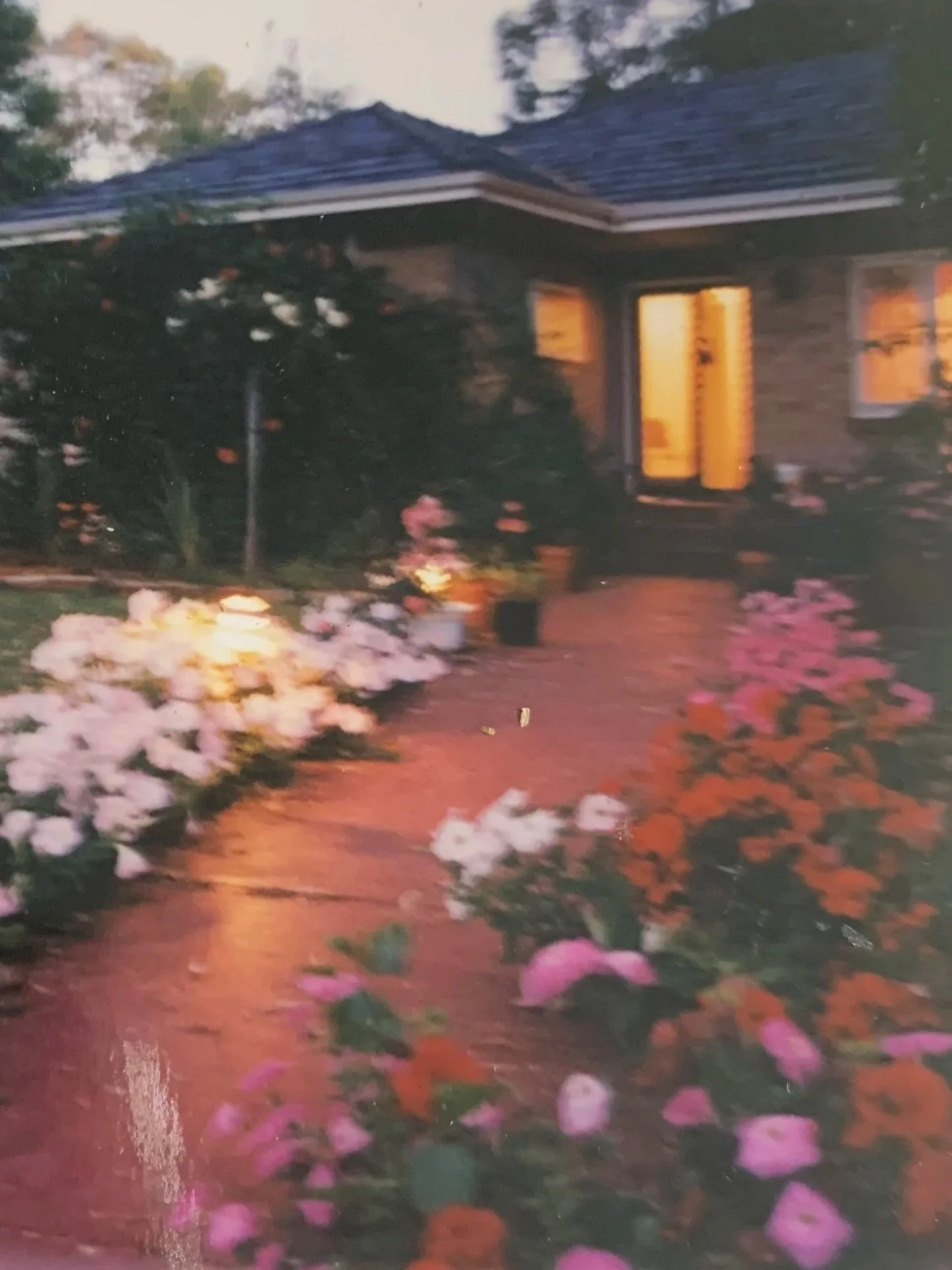The pretty petunia-lined paths at Britannia Avenue. 