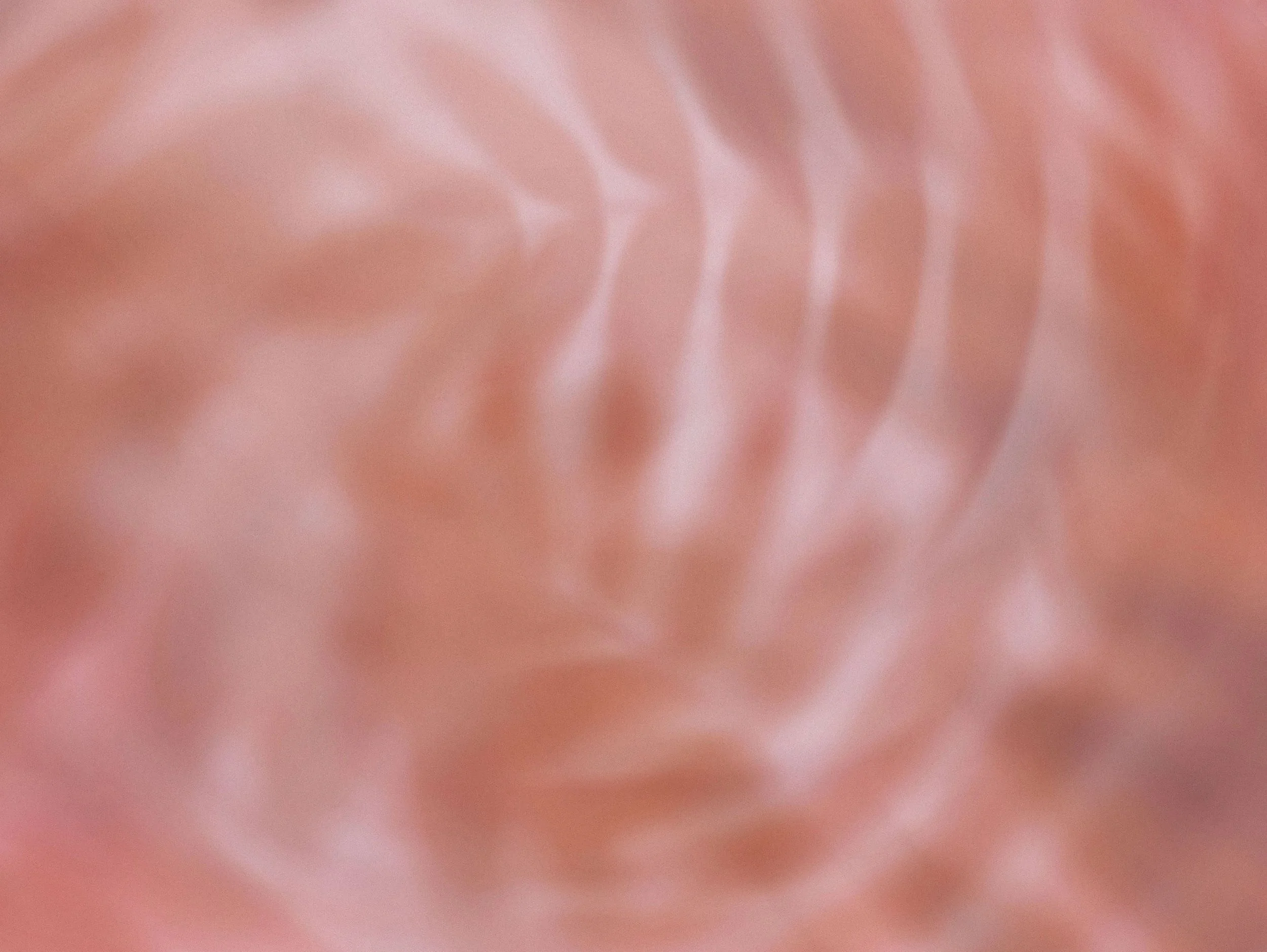An abstract image of grainy pink soft organic shapes