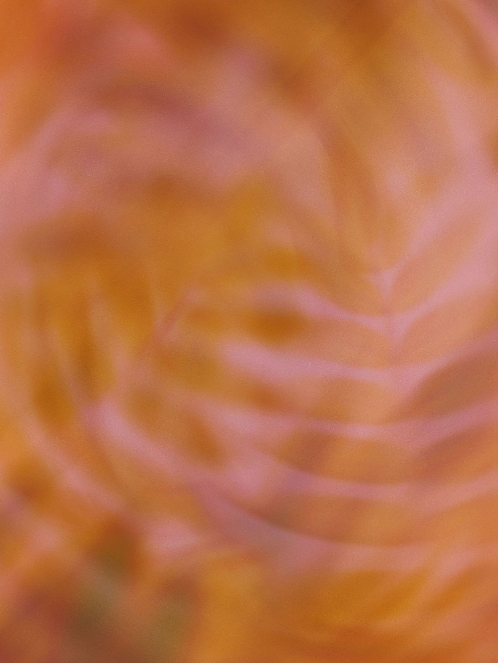 Blurred abstract image with warm tones of orange, pink, and yellow.