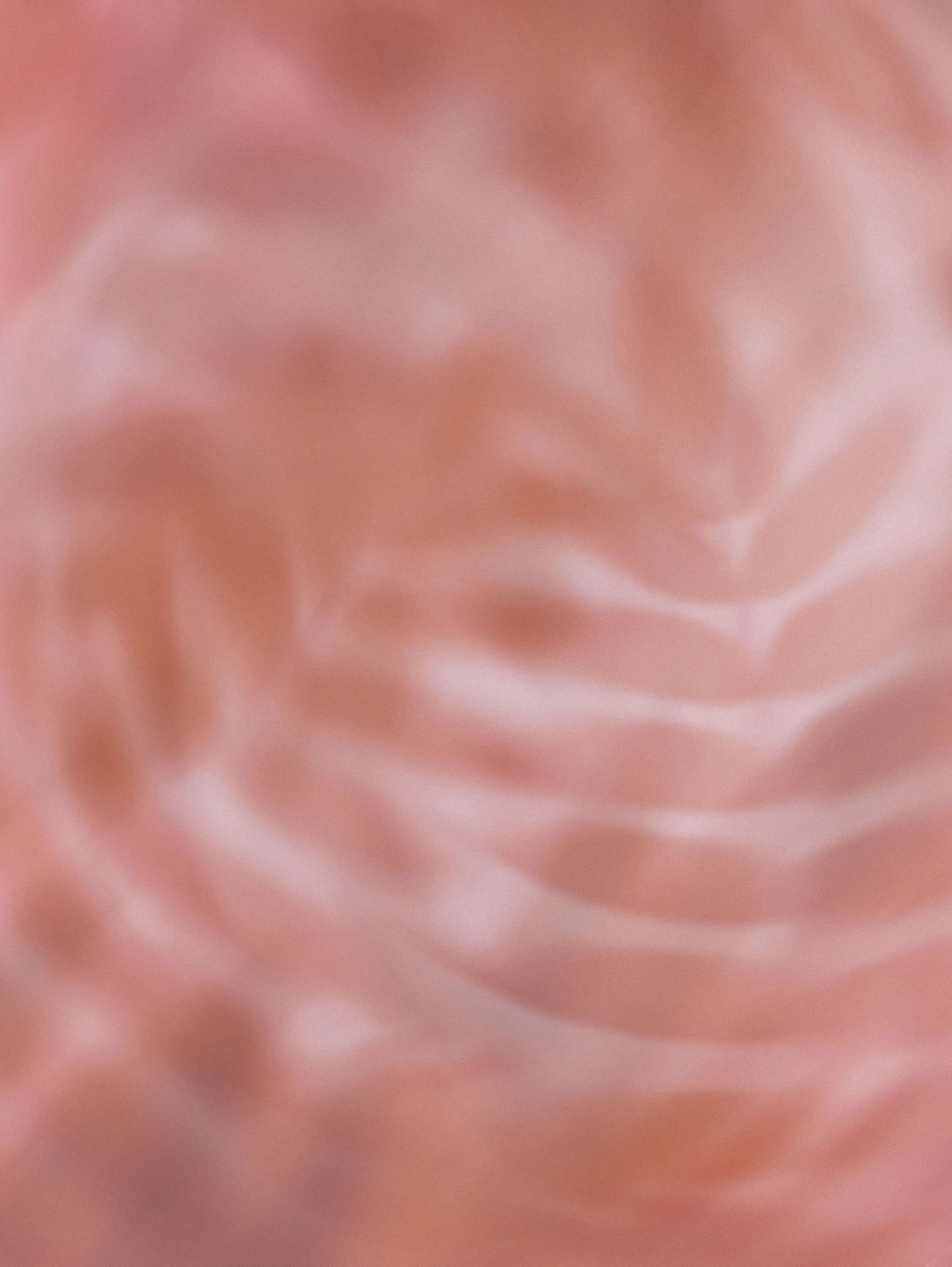 An abstract image of grainy pink soft organic shapes
