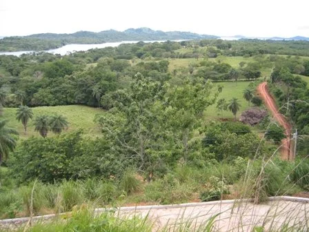 Chiriquí / Boquete