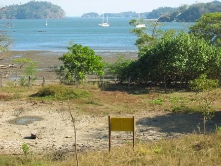 FINCA-PLAYA.jpg