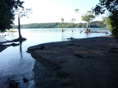 P1000997.jpg