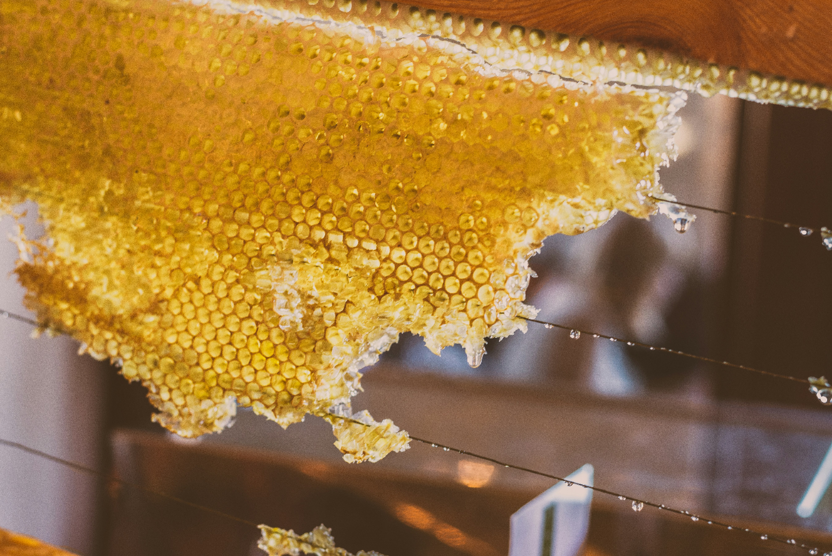 Honey SMALLER.png
