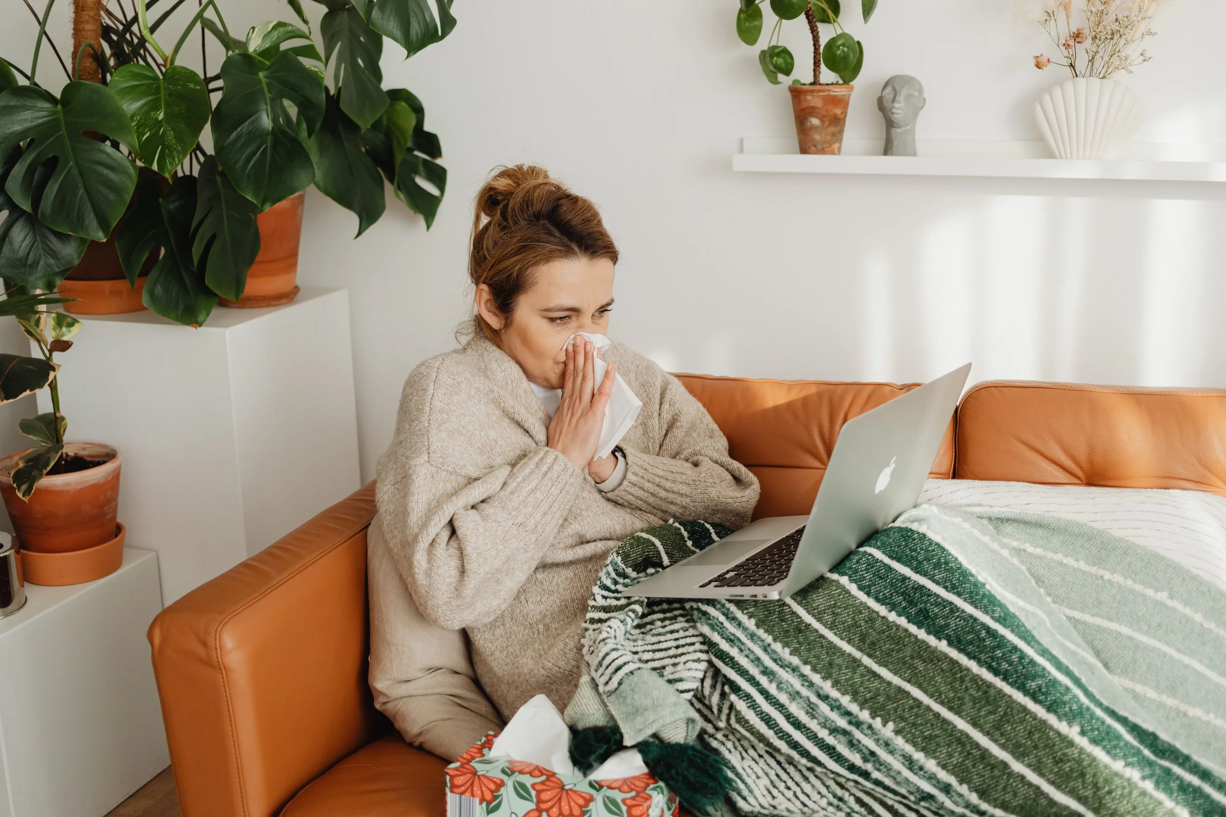 A woman with brown hair in a bun sitting on a brown leather couch, blowing her nose into a tissue. She is wearing a beige sweater and has a laptop on her lap. There are several potted plants and decorative items on white shelves in the background, and a box of tissue with an orange and floral design on the arm of the couch.