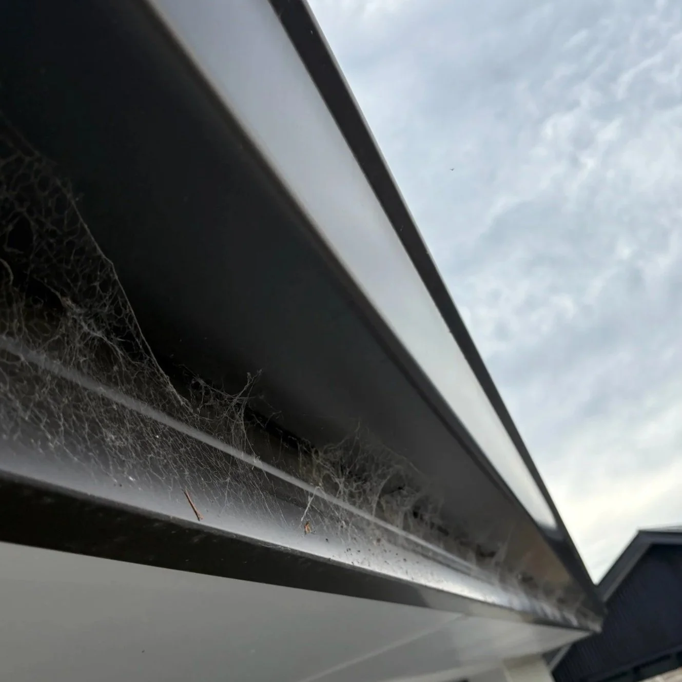 Close-up of a house gutter filled with cobwebs and dirt, with a cloudy sky in the background.