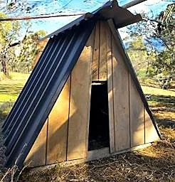 Claire's chicken house
